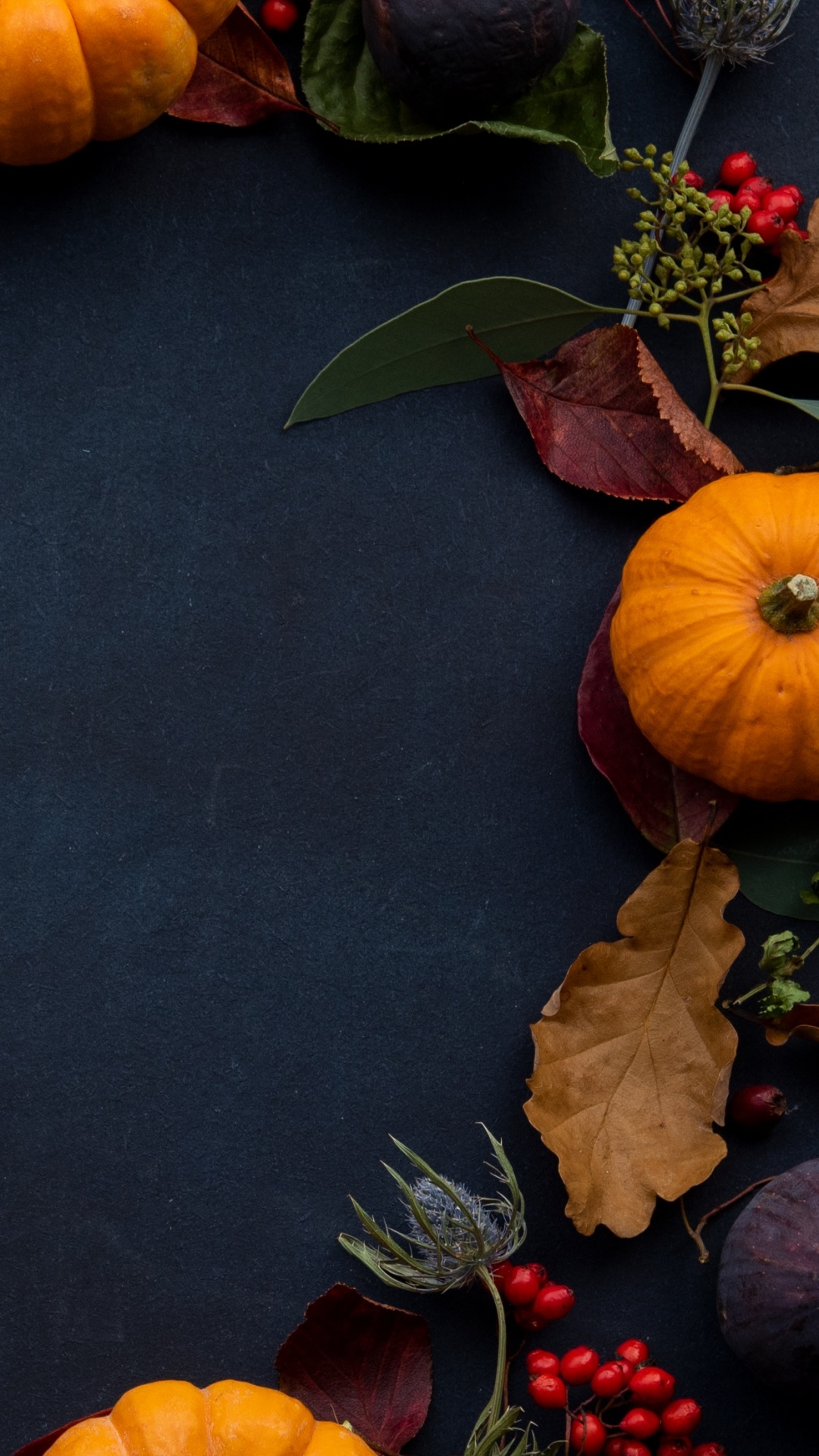 Thanksgiving, Feldkürbis, Squash, Blatt, Calabaza. Wallpaper in 1080x1920 Resolution