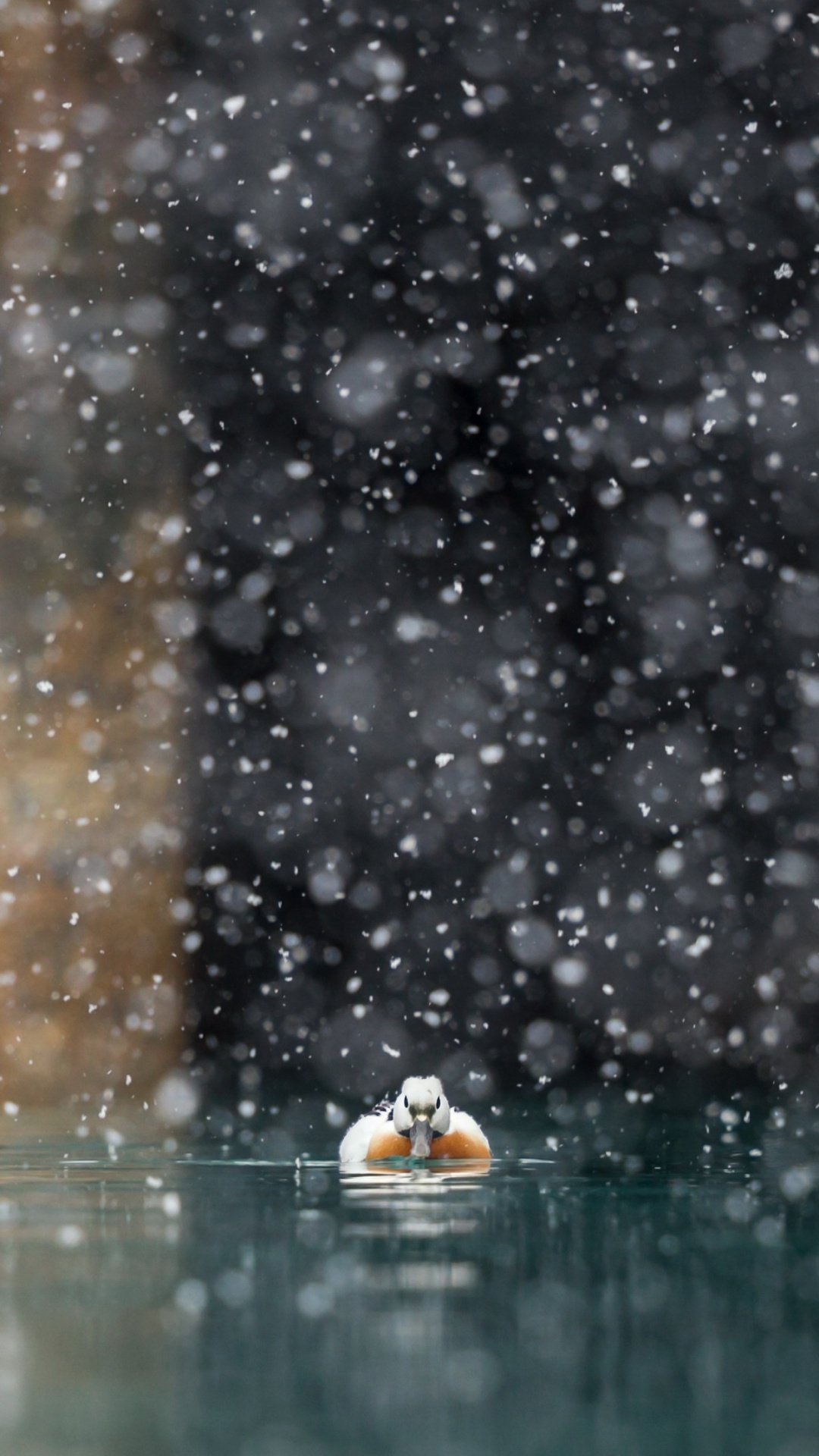 Gouttes D'eau Sur la Vitre. Wallpaper in 1080x1920 Resolution