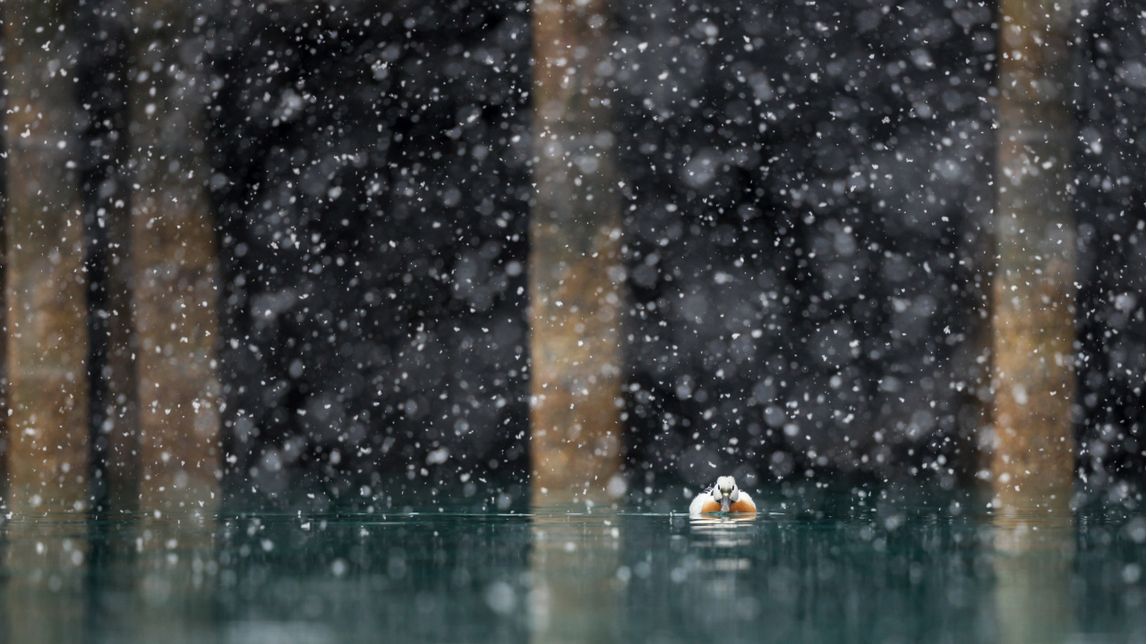 Gouttes D'eau Sur la Vitre. Wallpaper in 1280x720 Resolution