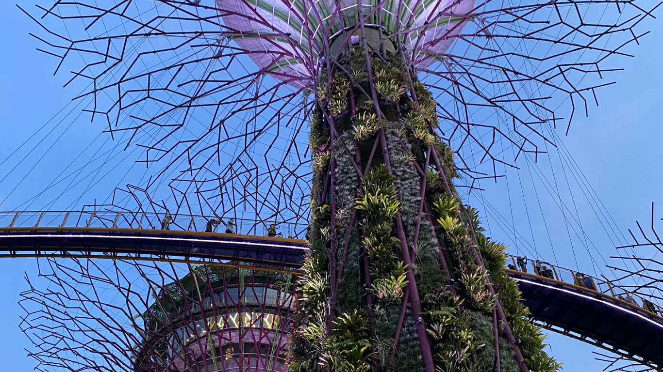 Singapur, Yachthafen Stadtpark, Sehenswürdigkeit, Purpur, Veilchen. Wallpaper in 1366x768 Resolution