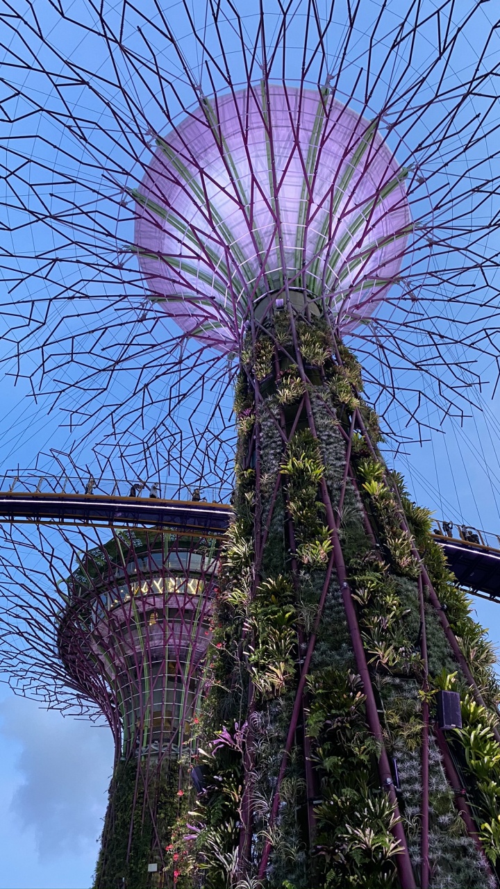 Singapur, Yachthafen Stadtpark, Sehenswürdigkeit, Purpur, Veilchen. Wallpaper in 720x1280 Resolution