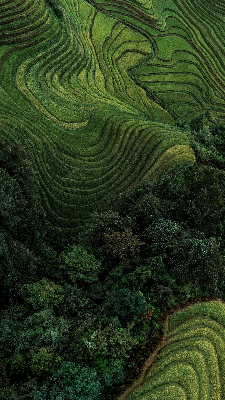 Xiaomi, MIUI 12, 红米k20, 安卓, Xiaomi Pocophone f1 壁纸 720x1280 允许