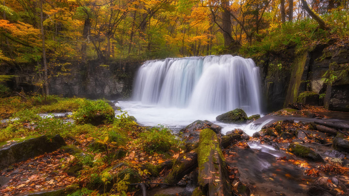 Cascadas en el Bosque Durante el Día.. Wallpaper in 1366x768 Resolution