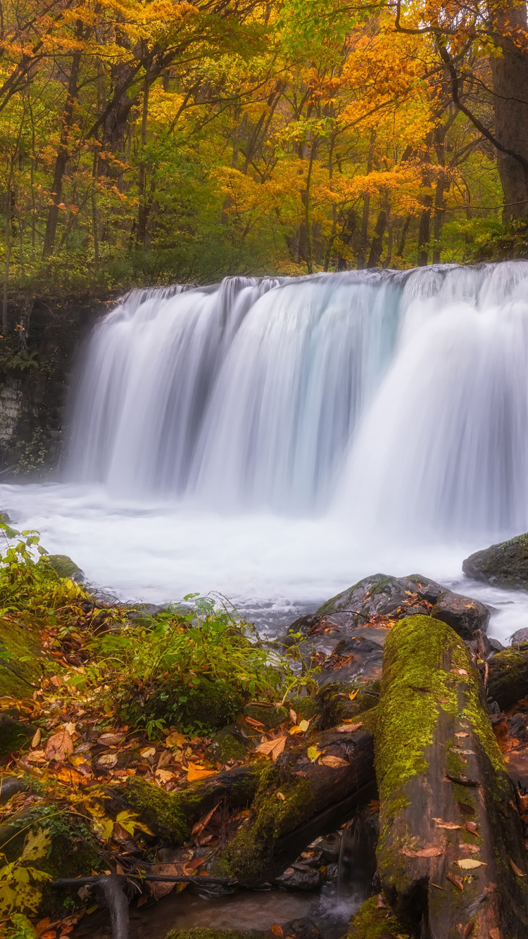 Waterfalls in Forest During Daytime. Wallpaper in 750x1334 Resolution