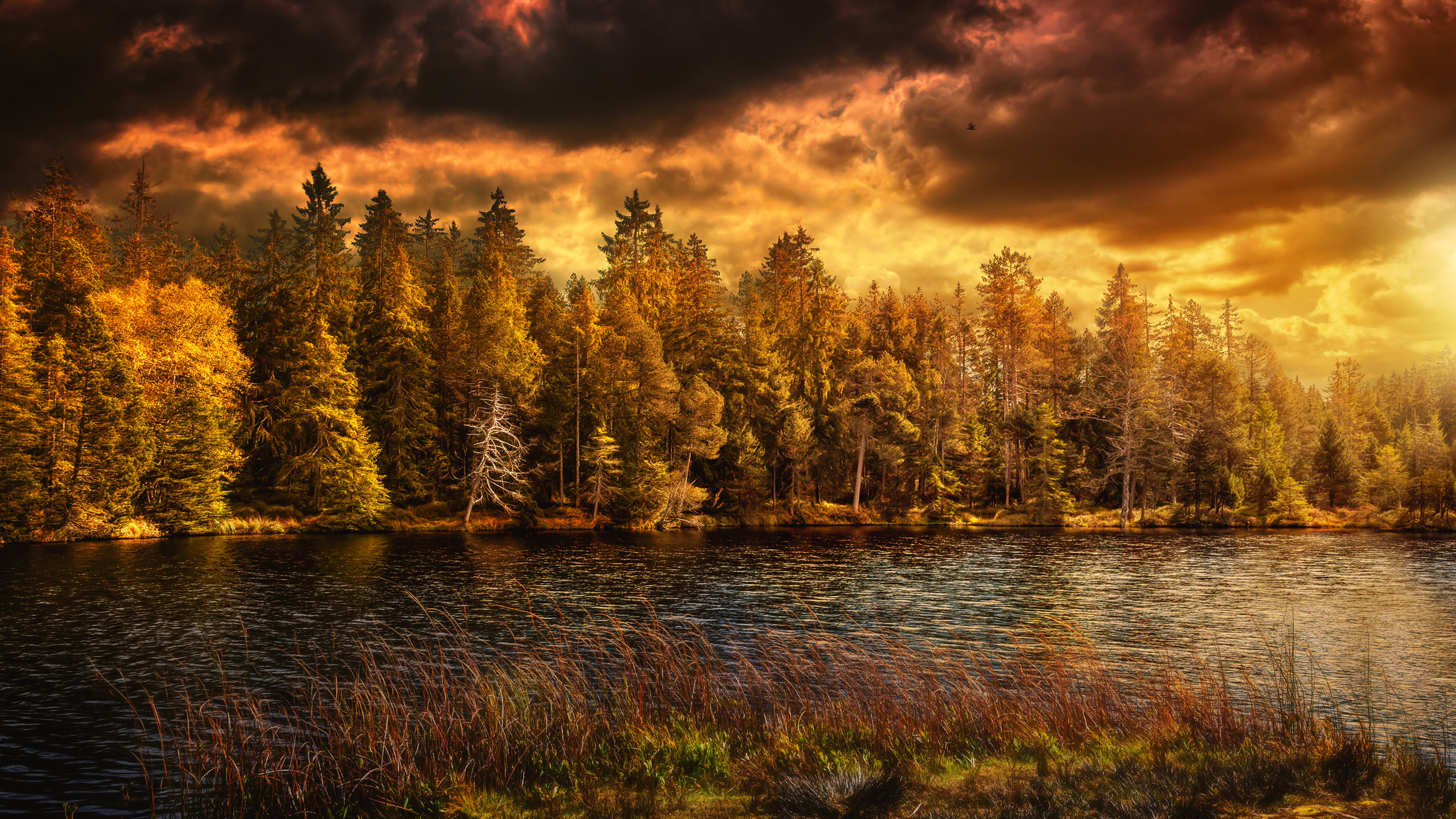 Arbres Verts à Côté de la Rivière Sous un Ciel Nuageux Pendant la Journée. Wallpaper in 3840x2160 Resolution