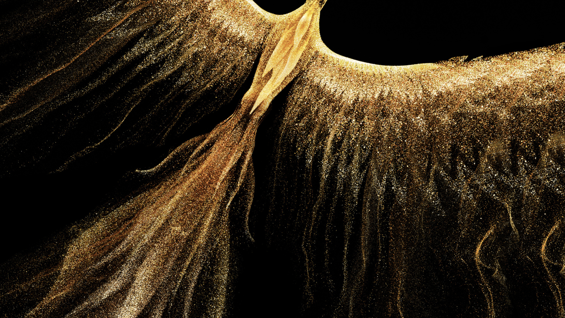 Elephants and Mammoths, Horn, Terrestrial Animal, Plant, Tusk. Wallpaper in 1920x1080 Resolution