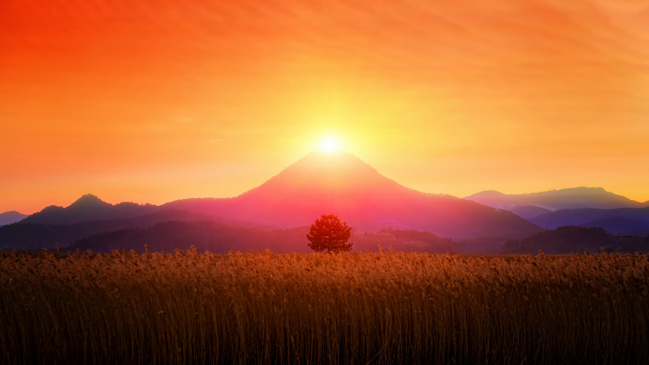 Brown Grass Field During Sunset. Wallpaper in 1280x720 Resolution