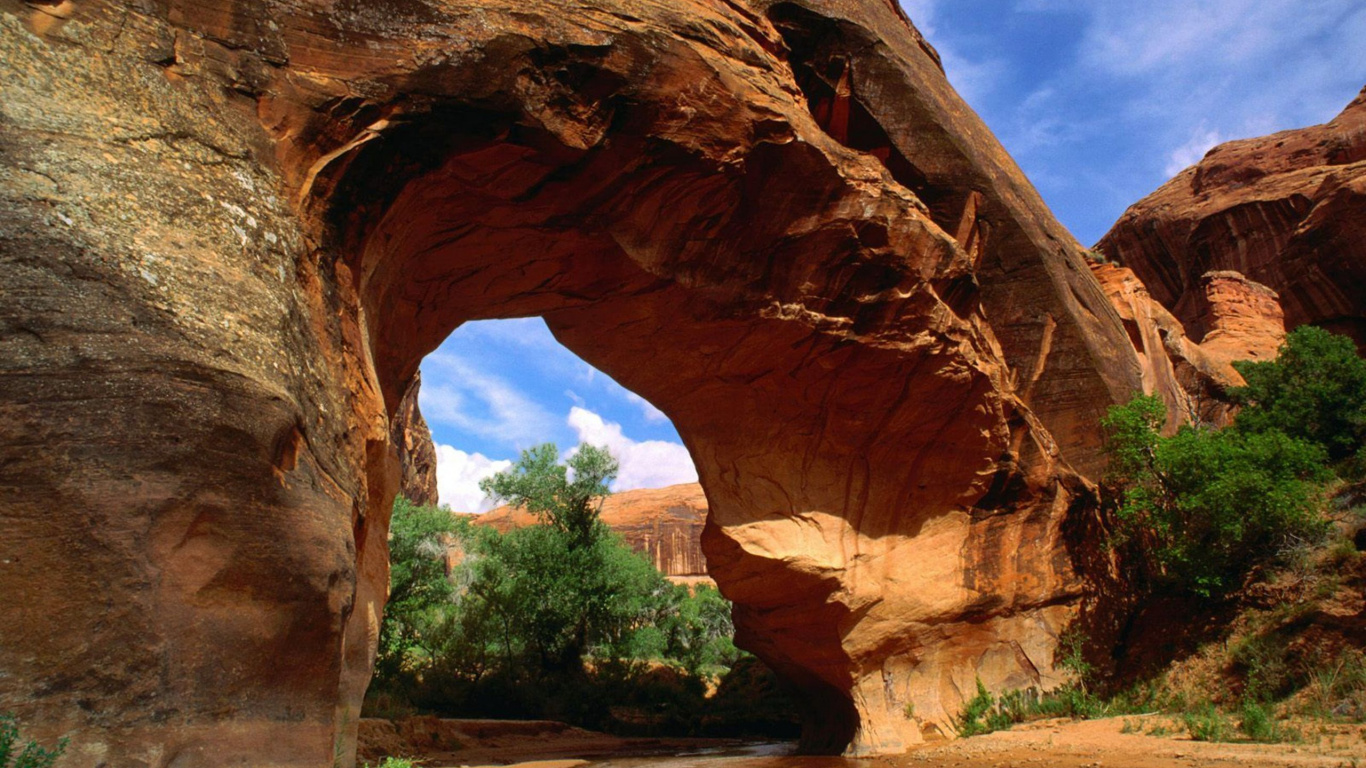 Brown Rock Formation Near Green Trees During Daytime. Wallpaper in 1366x768 Resolution