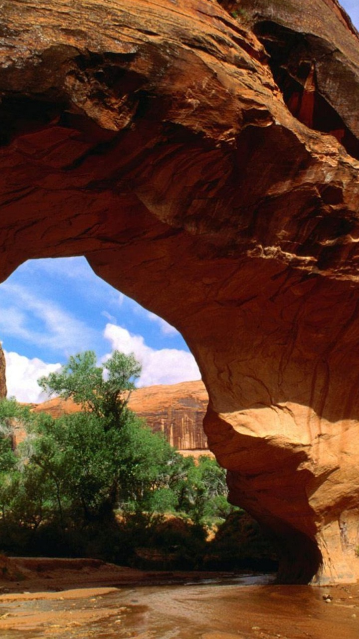 Brown Rock Formation Near Green Trees During Daytime. Wallpaper in 720x1280 Resolution