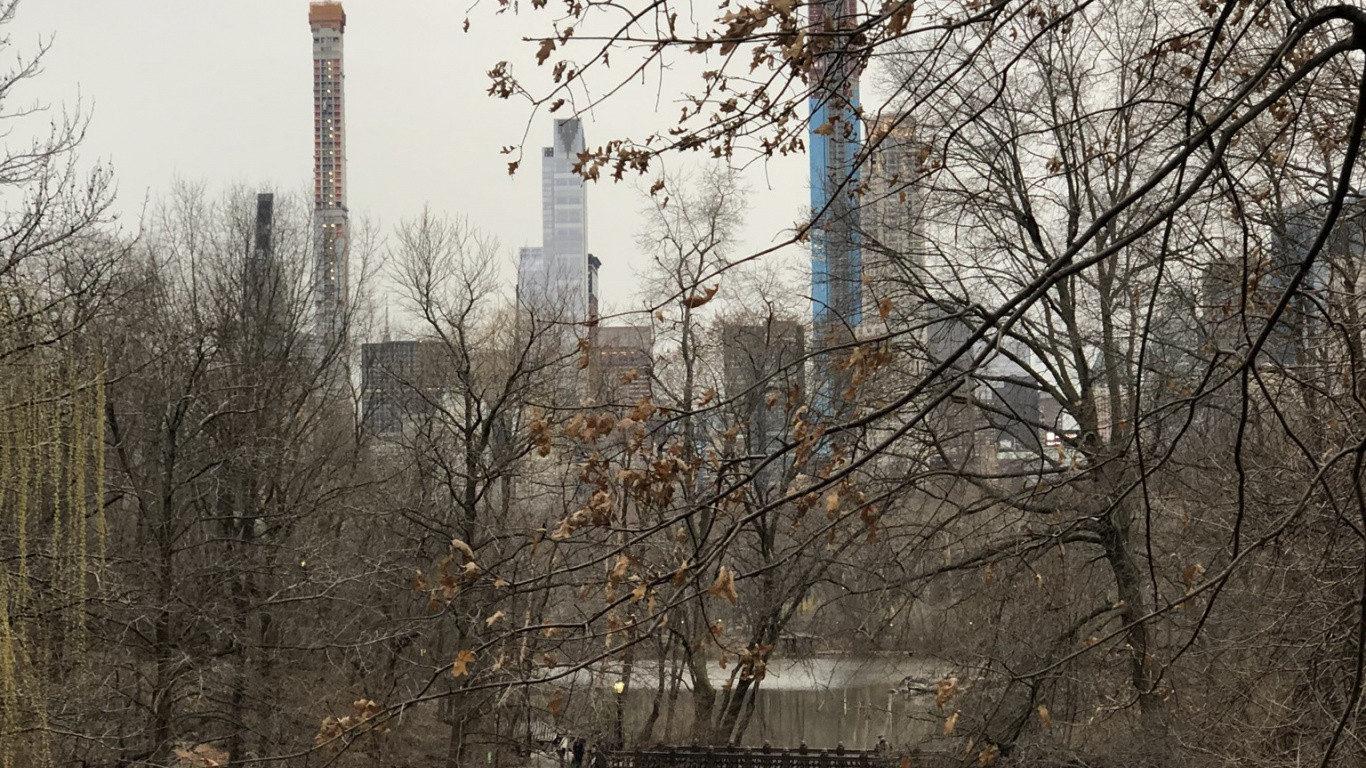 Central Park, Wasser, Wissenschaft, Biologie, Branch. Wallpaper in 1366x768 Resolution