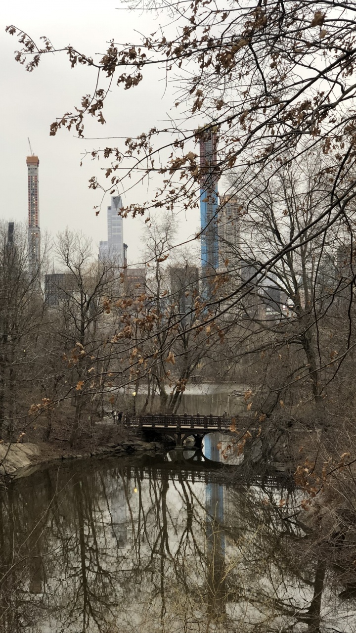 Central Park, Wasser, Wissenschaft, Biologie, Branch. Wallpaper in 720x1280 Resolution