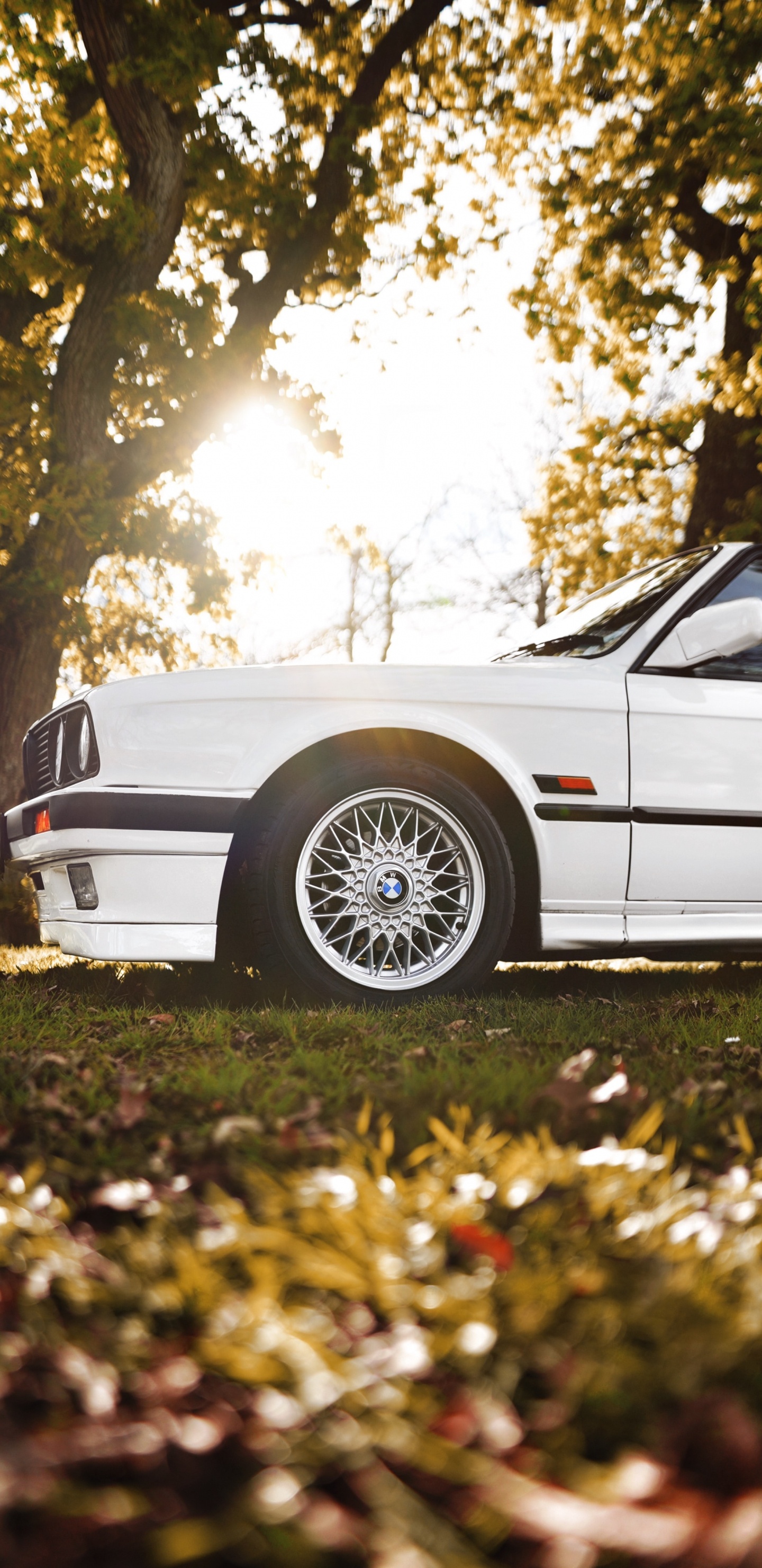 Coupe Blanco Estacionado en el Campo de Hierba Verde Durante el Día. Wallpaper in 1440x2960 Resolution