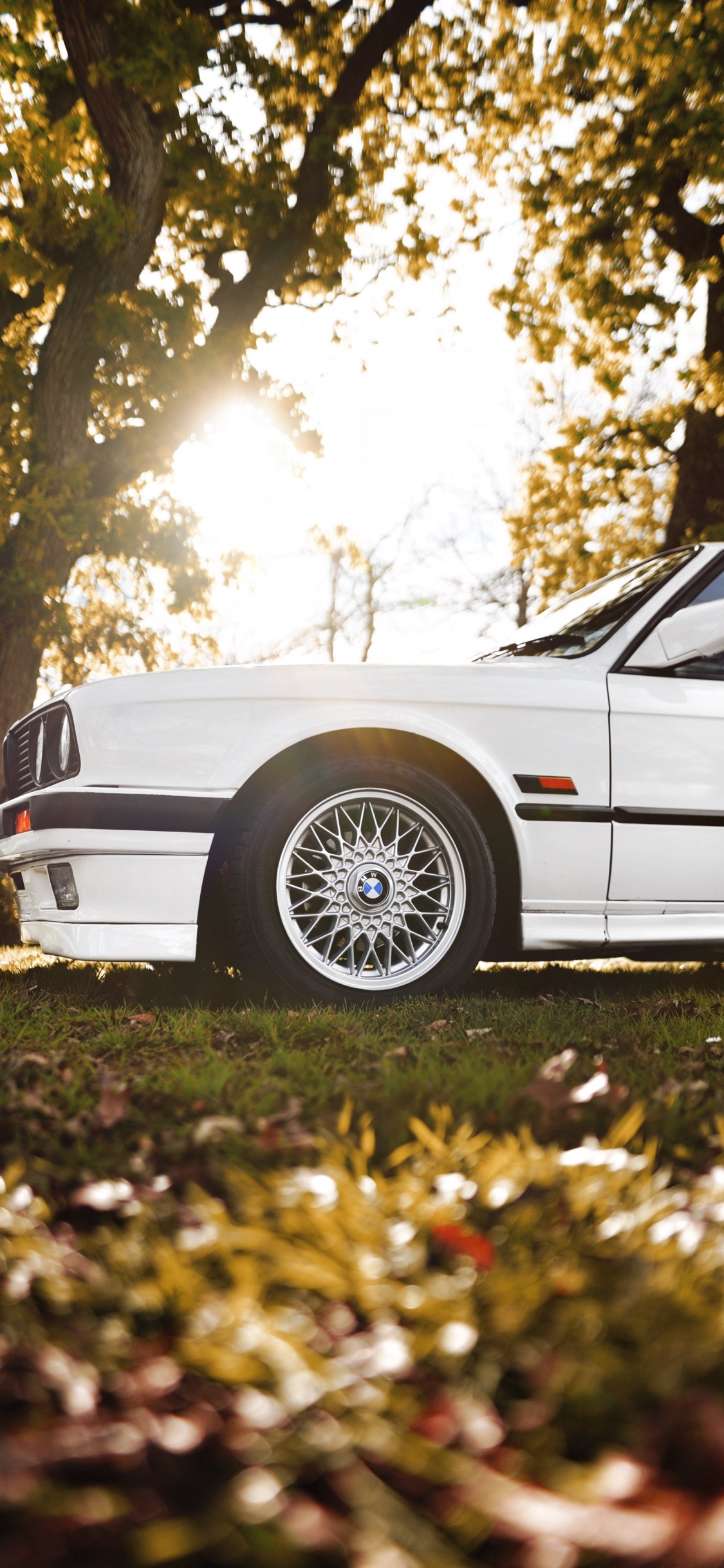 Weißes Coupé, Das Tagsüber Auf Einer Grünen Wiese Geparkt Ist. Wallpaper in 1125x2436 Resolution