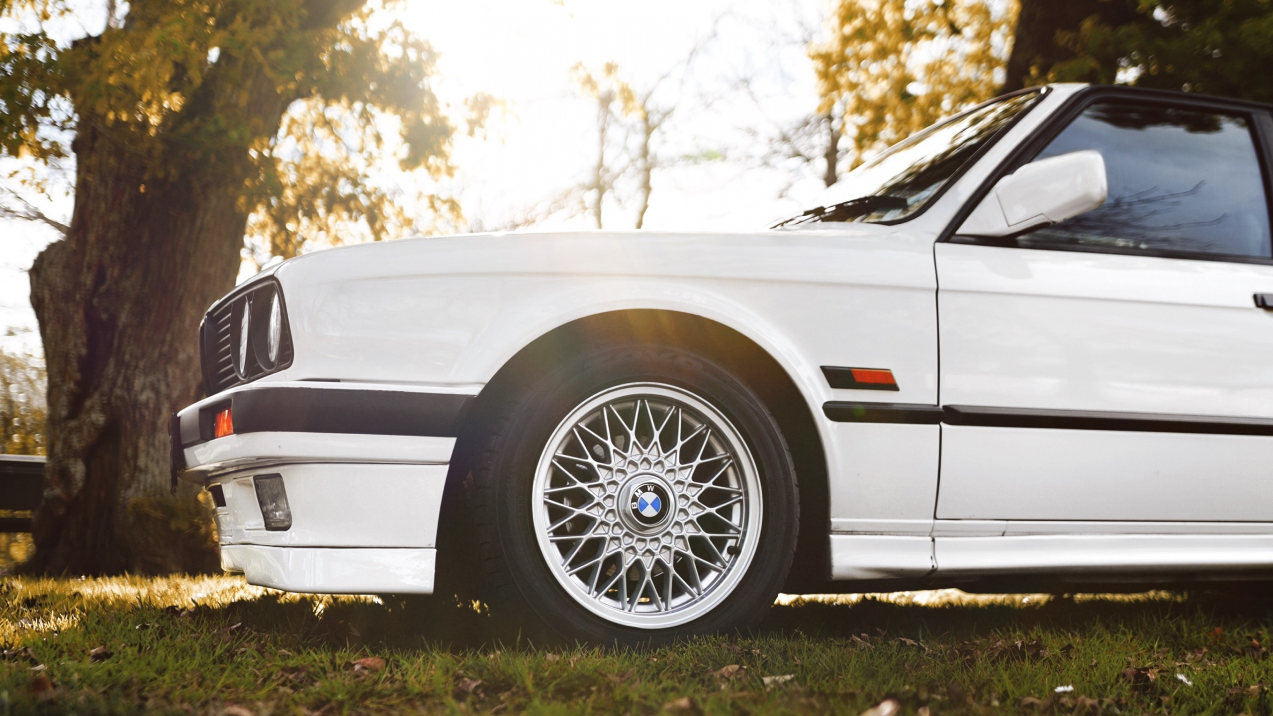 White Coupe Parked on Green Grass Field During Daytime. Wallpaper in 2560x1440 Resolution