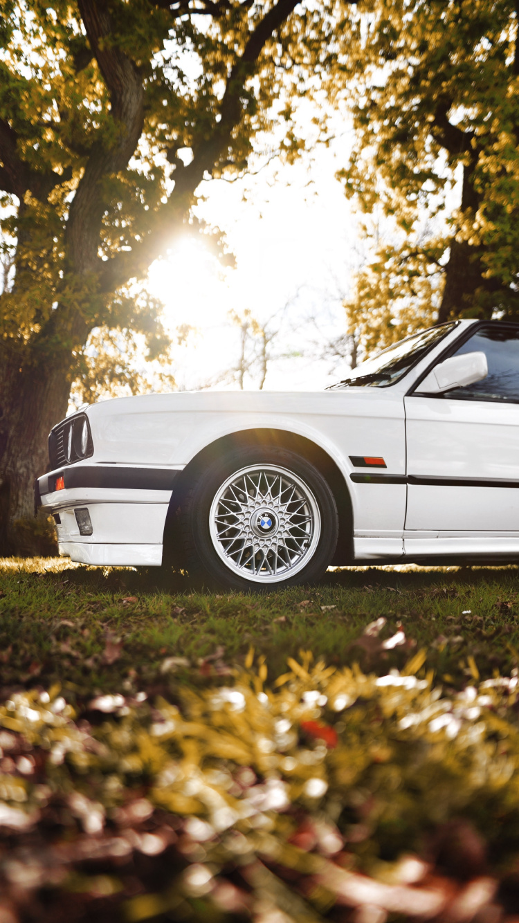White Coupe Parked on Green Grass Field During Daytime. Wallpaper in 750x1334 Resolution