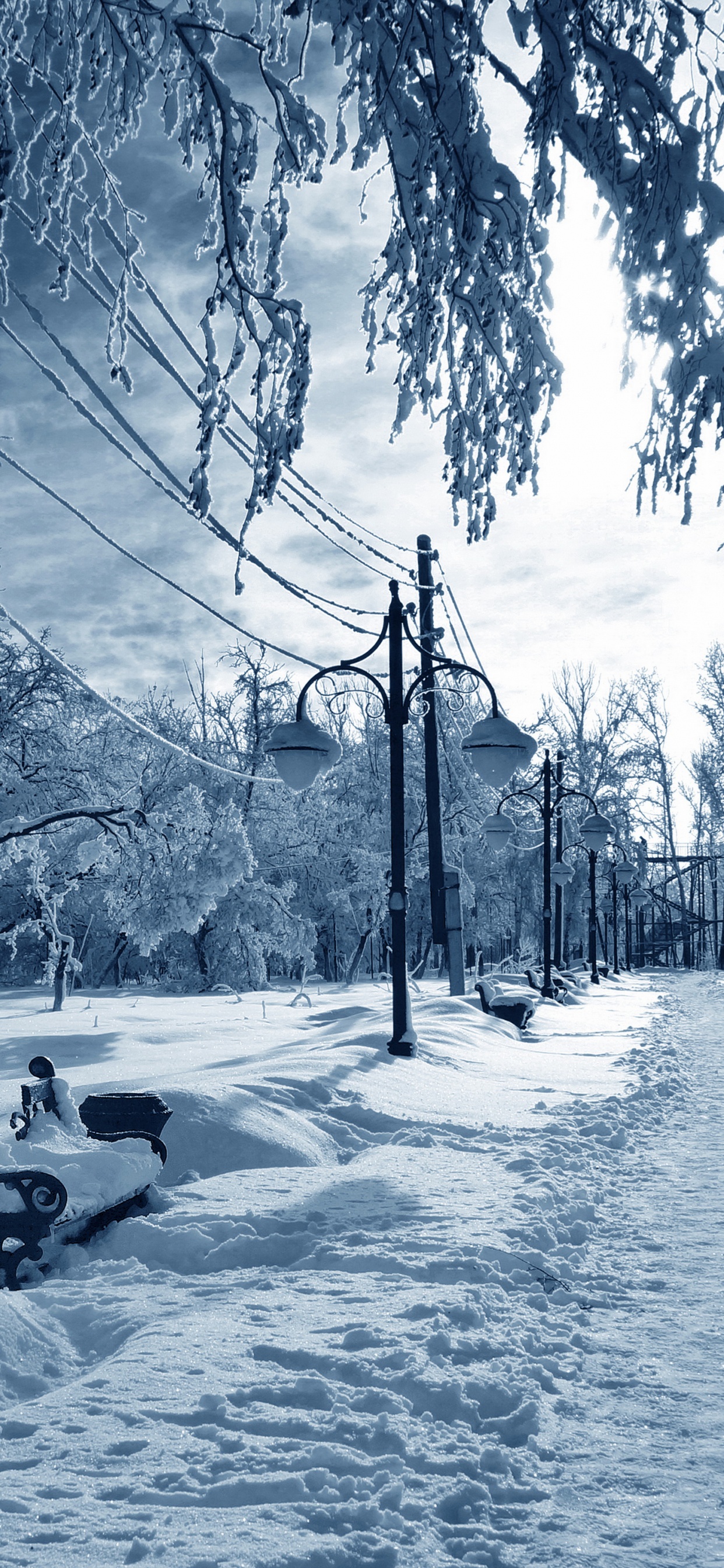 Persona Montada en Trineo Sobre Suelo Cubierto de Nieve Durante el Día. Wallpaper in 1242x2688 Resolution