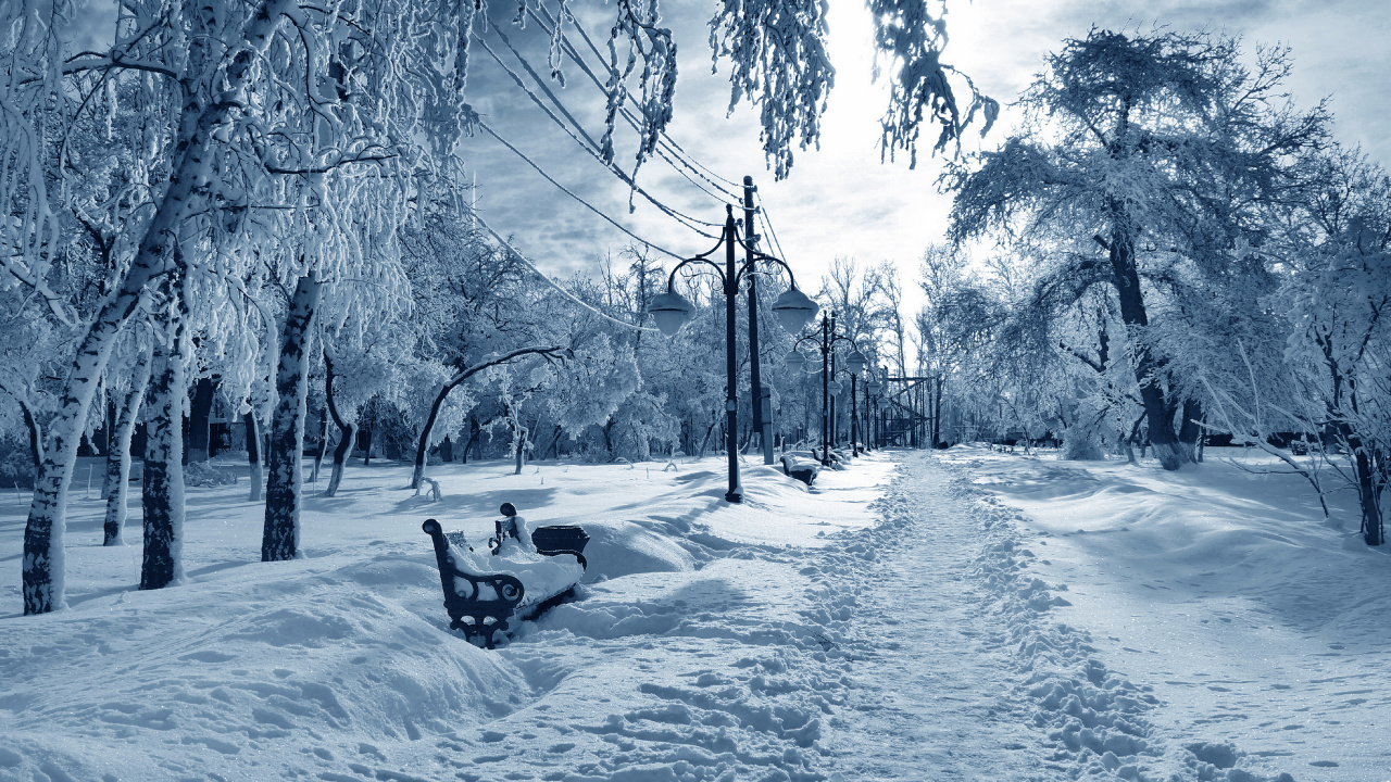 Persona Montada en Trineo Sobre Suelo Cubierto de Nieve Durante el Día. Wallpaper in 1280x720 Resolution