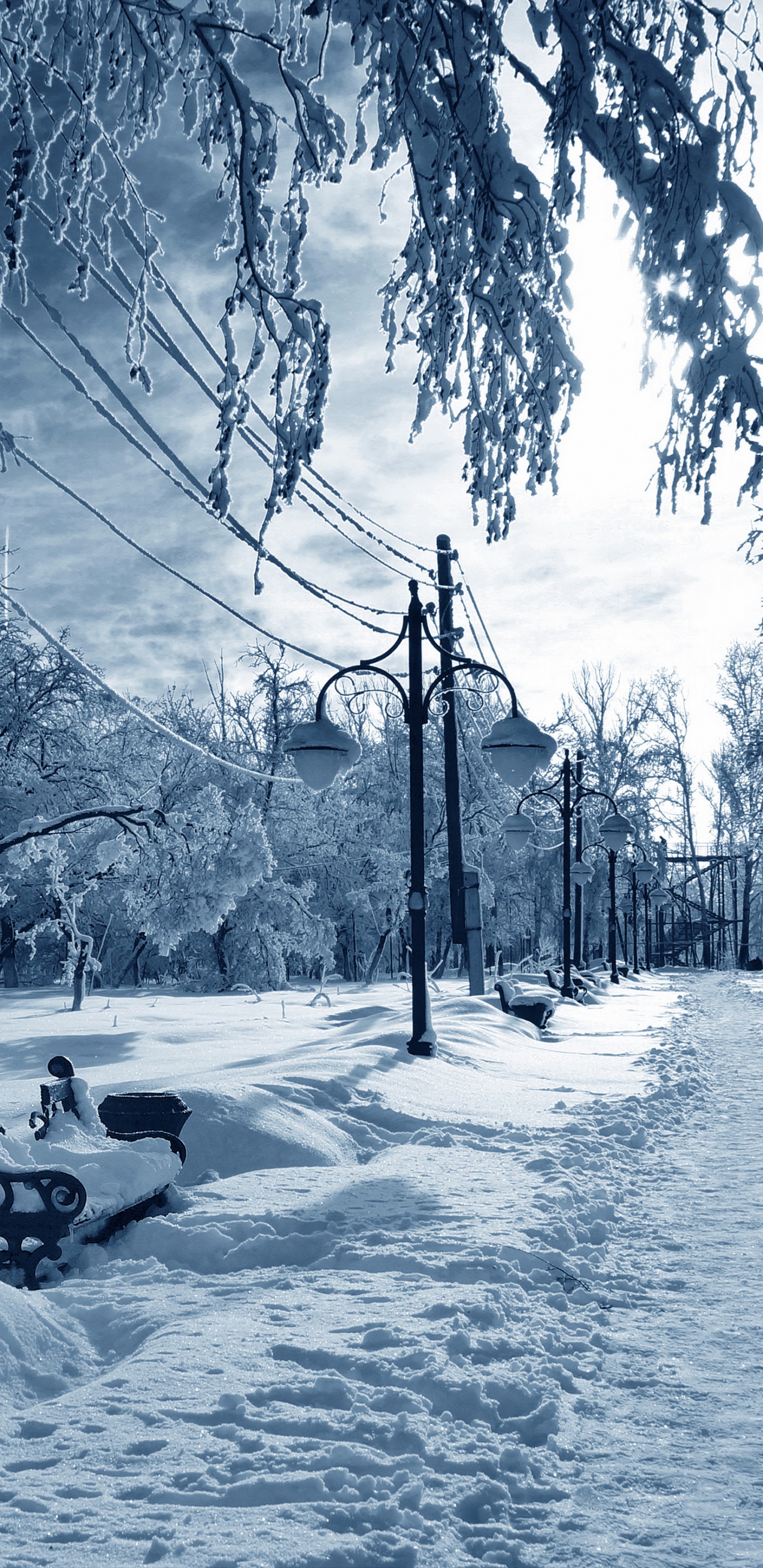 Persona Montada en Trineo Sobre Suelo Cubierto de Nieve Durante el Día. Wallpaper in 1440x2960 Resolution