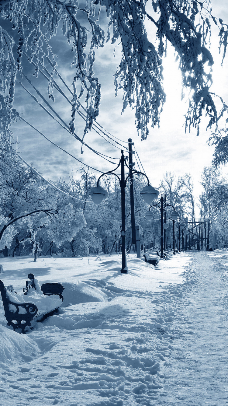 Persona Montada en Trineo Sobre Suelo Cubierto de Nieve Durante el Día. Wallpaper in 750x1334 Resolution