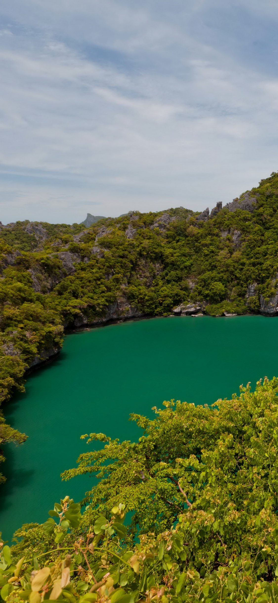 Árboles Verdes en la Isla Durante el Día. Wallpaper in 1125x2436 Resolution