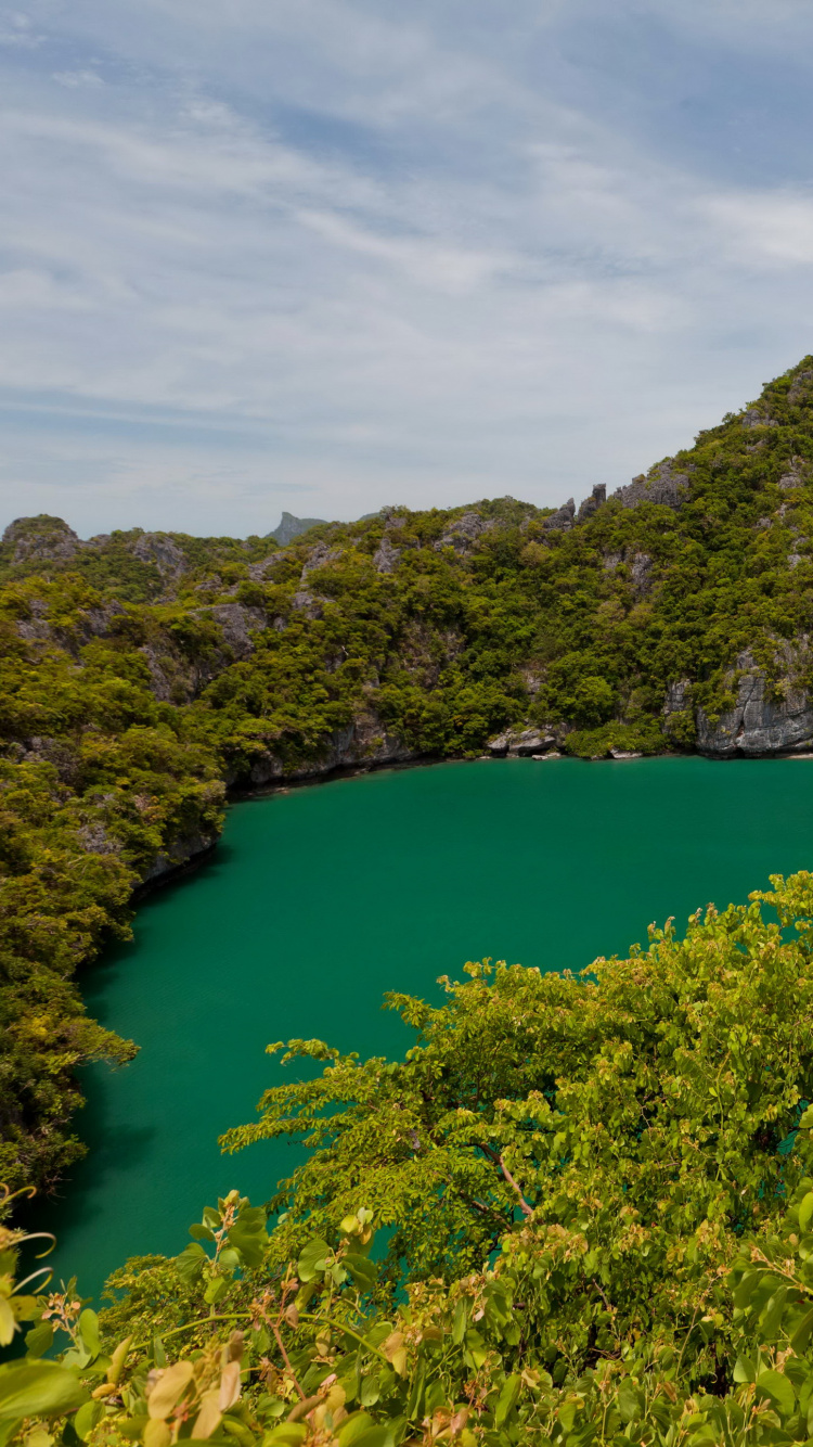 Green Trees on Island During Daytime. Wallpaper in 750x1334 Resolution