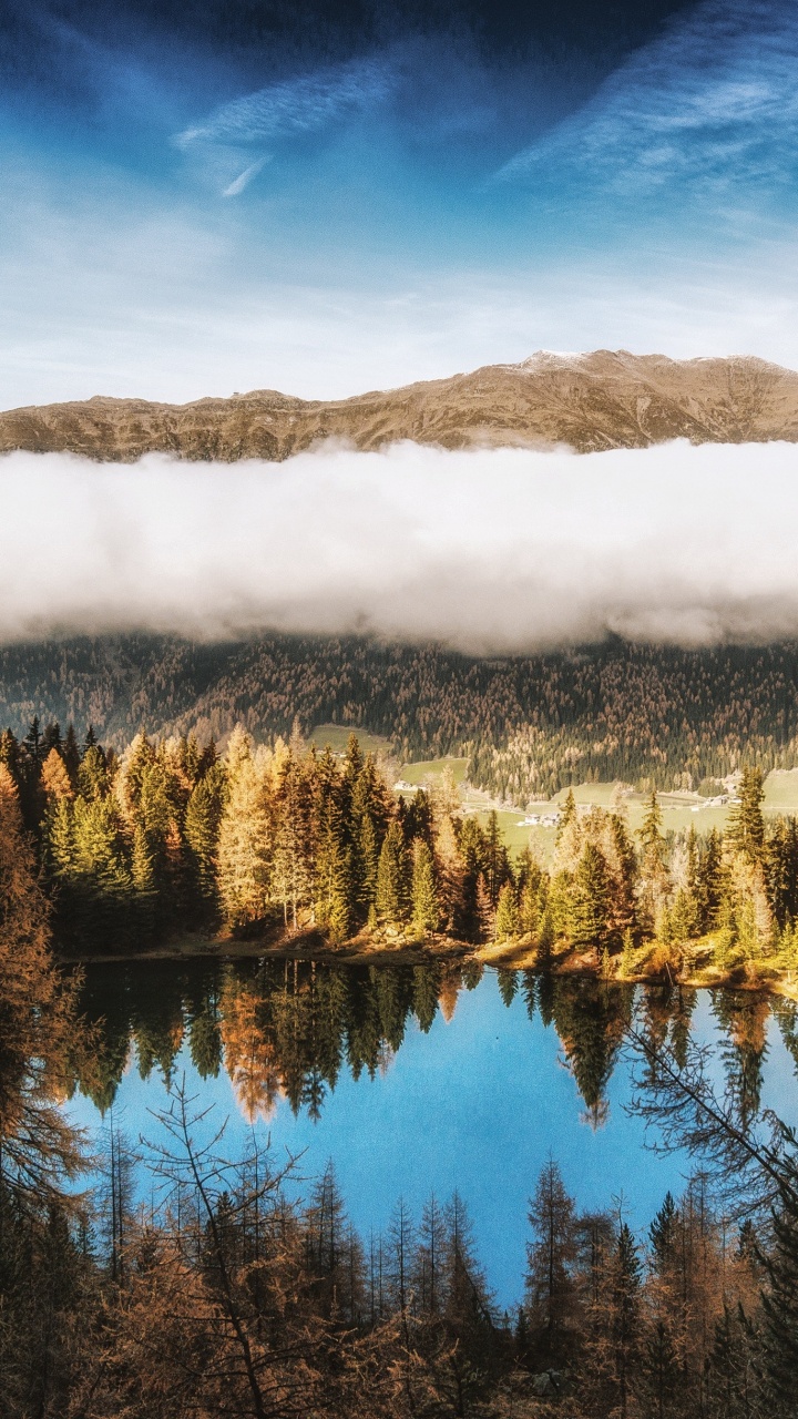 Tree, Body of Water, Natural Landscape, Nature, Reflection. Wallpaper in 720x1280 Resolution