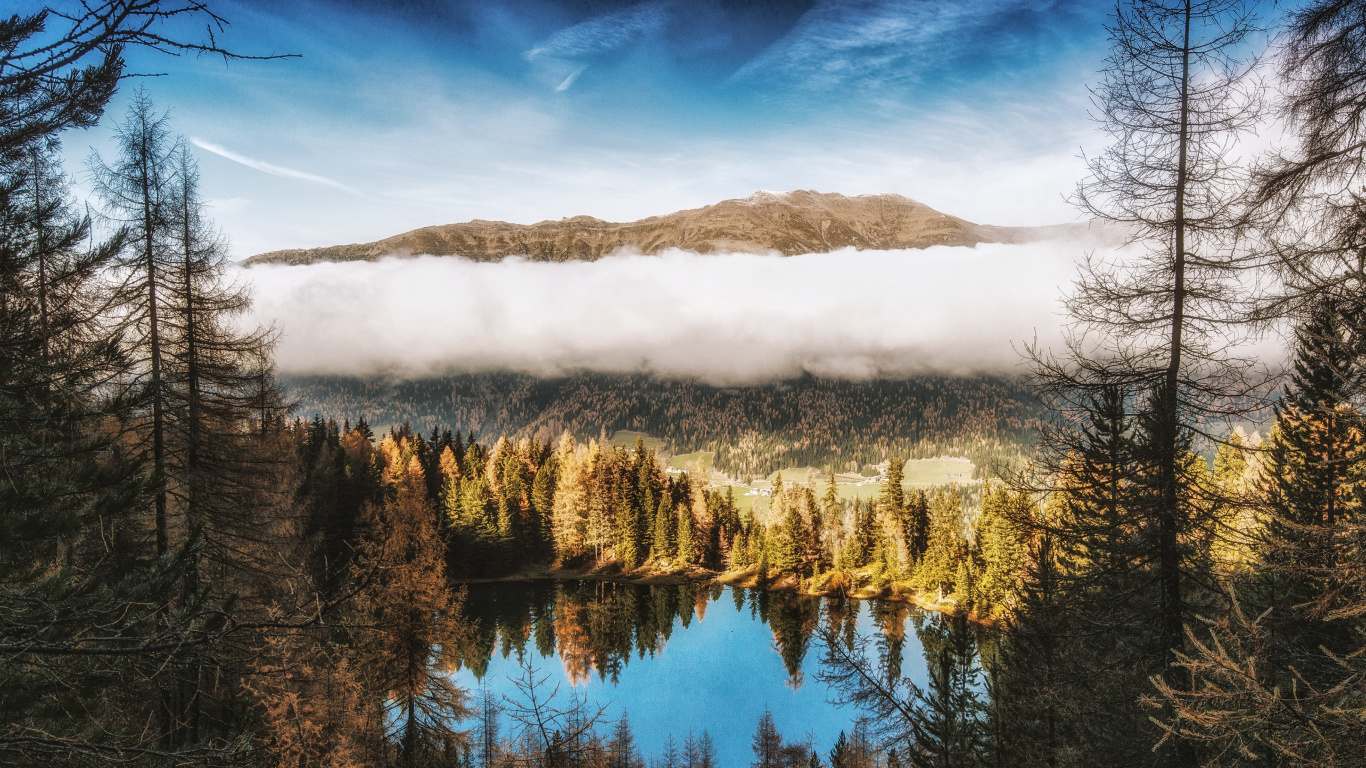 Baum, Gewässer, Naturlandschaft, Natur, Reflexion. Wallpaper in 1366x768 Resolution