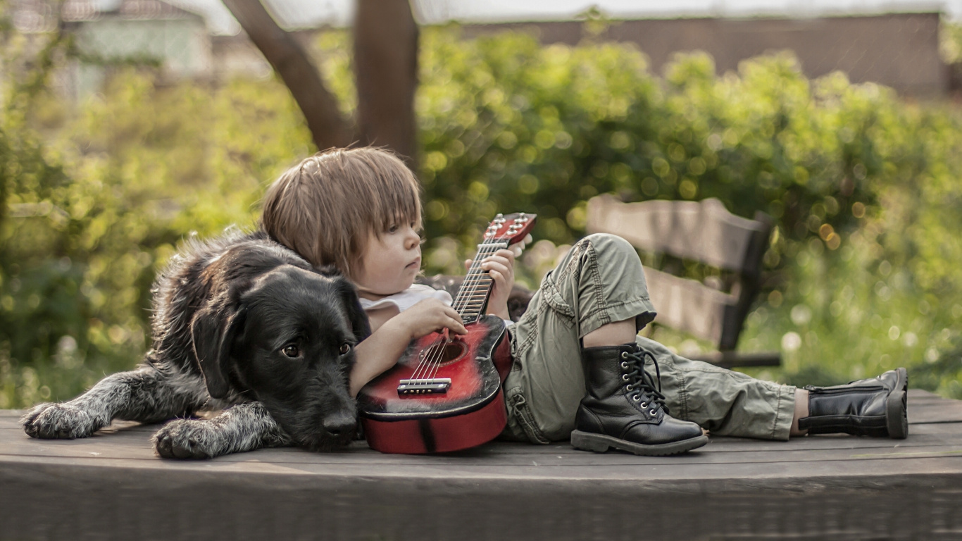 Guitare, Chien, Race de Chien, Les Chiens de Race Pure, Interaction. Wallpaper in 1366x768 Resolution