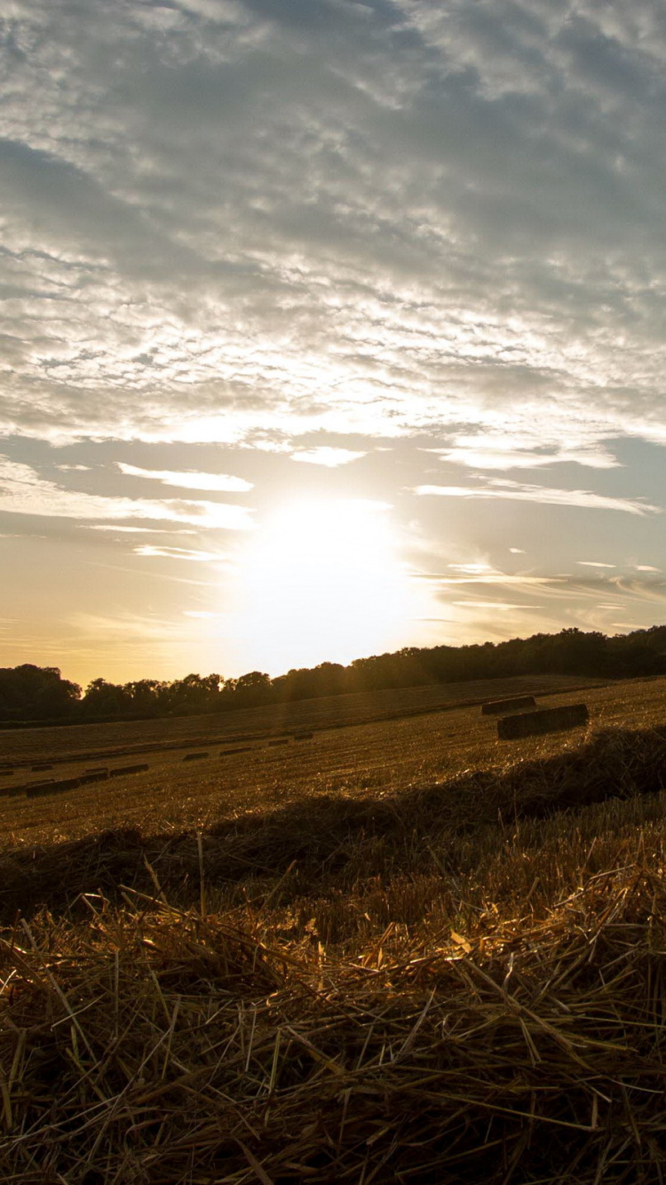 Paysage Naturel, Nature, Horizon, Matin, Soir. Wallpaper in 750x1334 Resolution