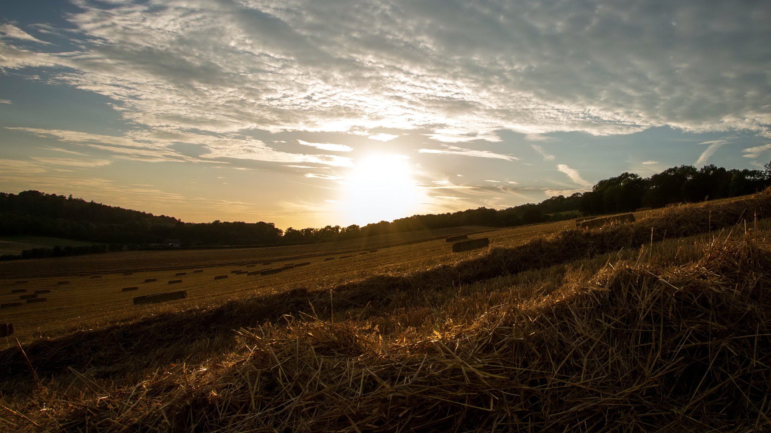 Natural Landscape, Nature, Cloud, Horizon, Morning. Wallpaper in 2560x1440 Resolution