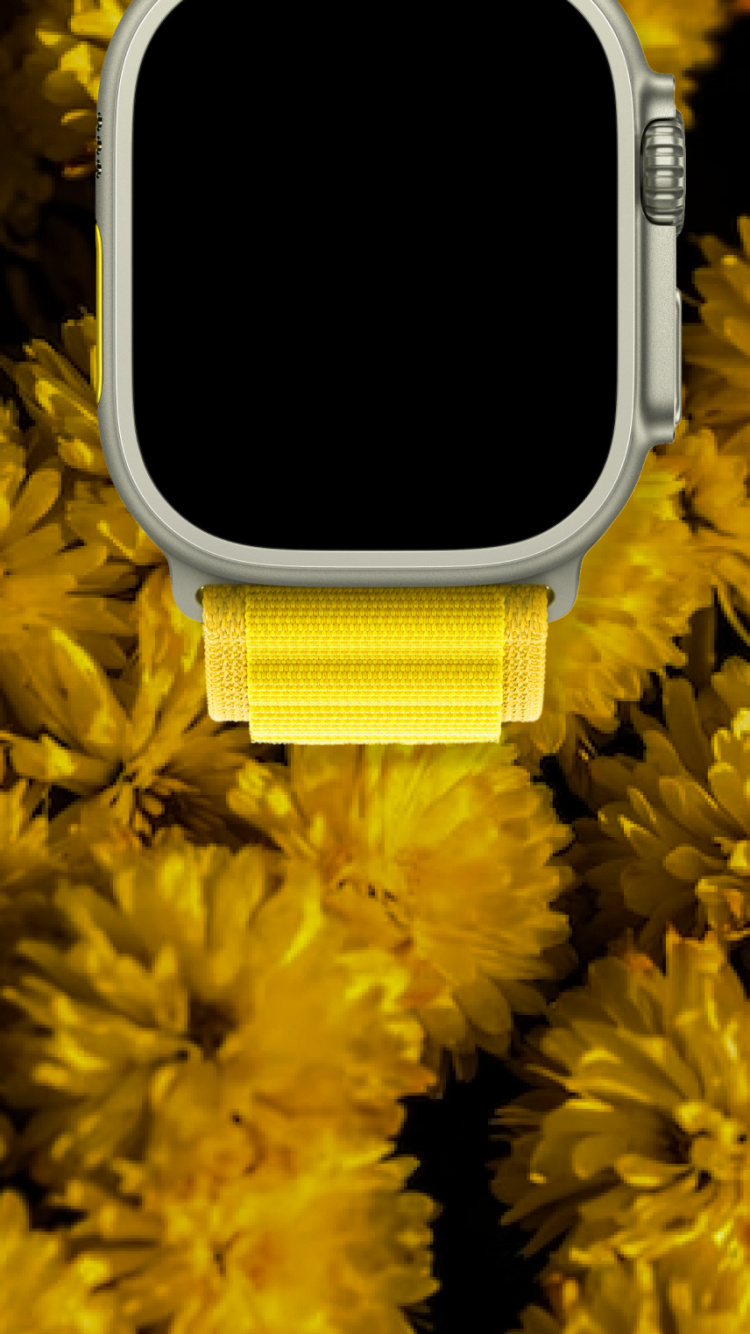 Apple Watch, Sonnenblume, Gelb, Blütenblatt, Blühende Pflanze. Wallpaper in 750x1334 Resolution