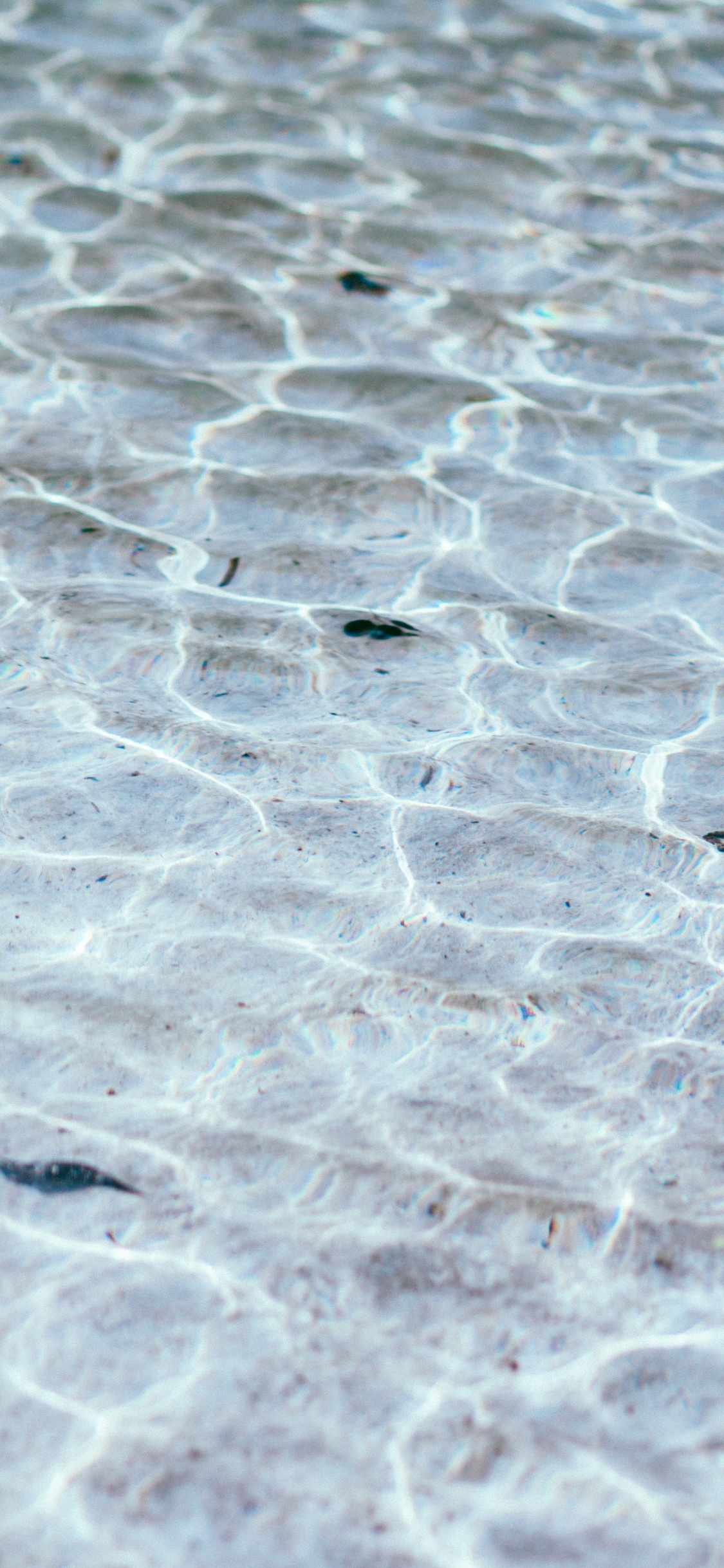 Close up Photo of Gray Concrete Pavement. Wallpaper in 1125x2436 Resolution