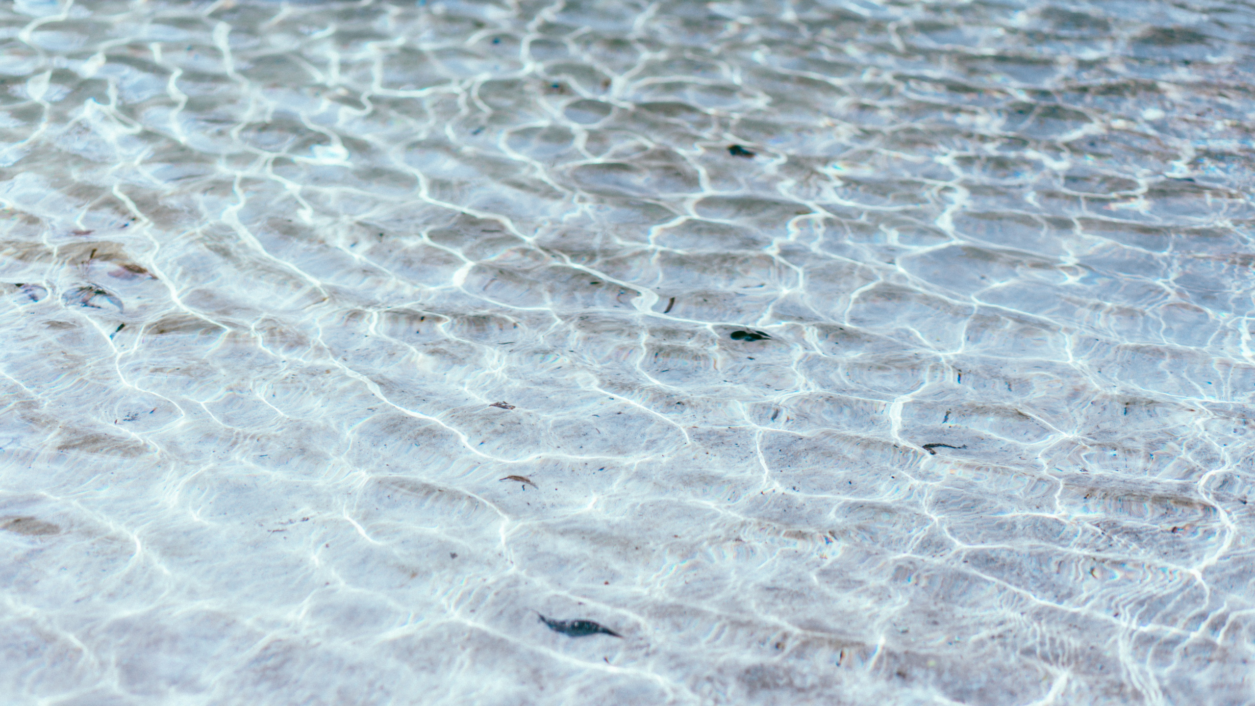Close up Photo of Gray Concrete Pavement. Wallpaper in 2560x1440 Resolution