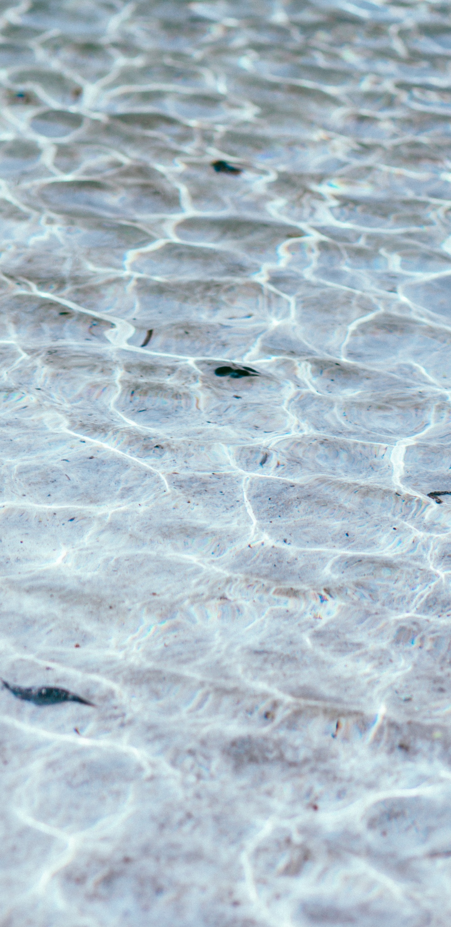 抽象艺术, 耳环, 冻结, 纹理 壁纸 1440x2960 允许