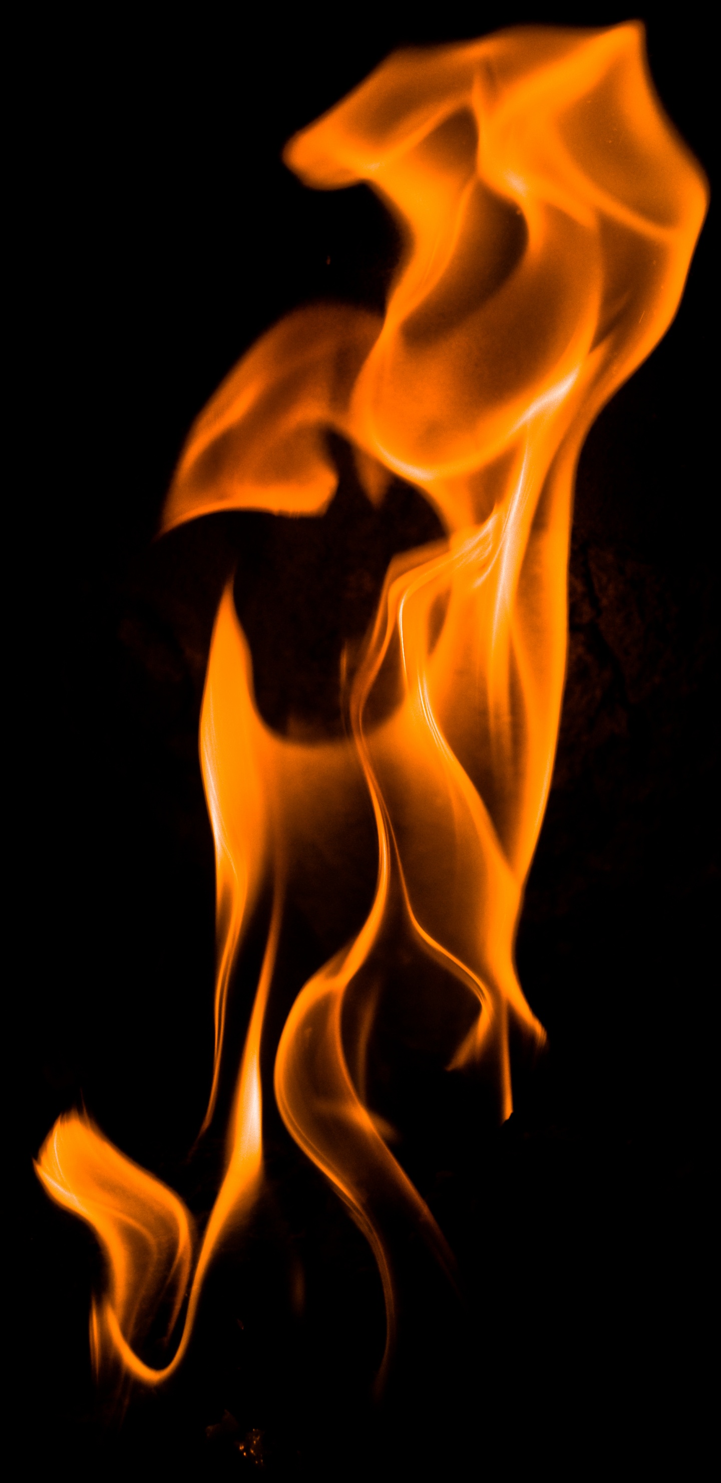 Feu Orange Sur Fond Noir. Wallpaper in 1440x2960 Resolution