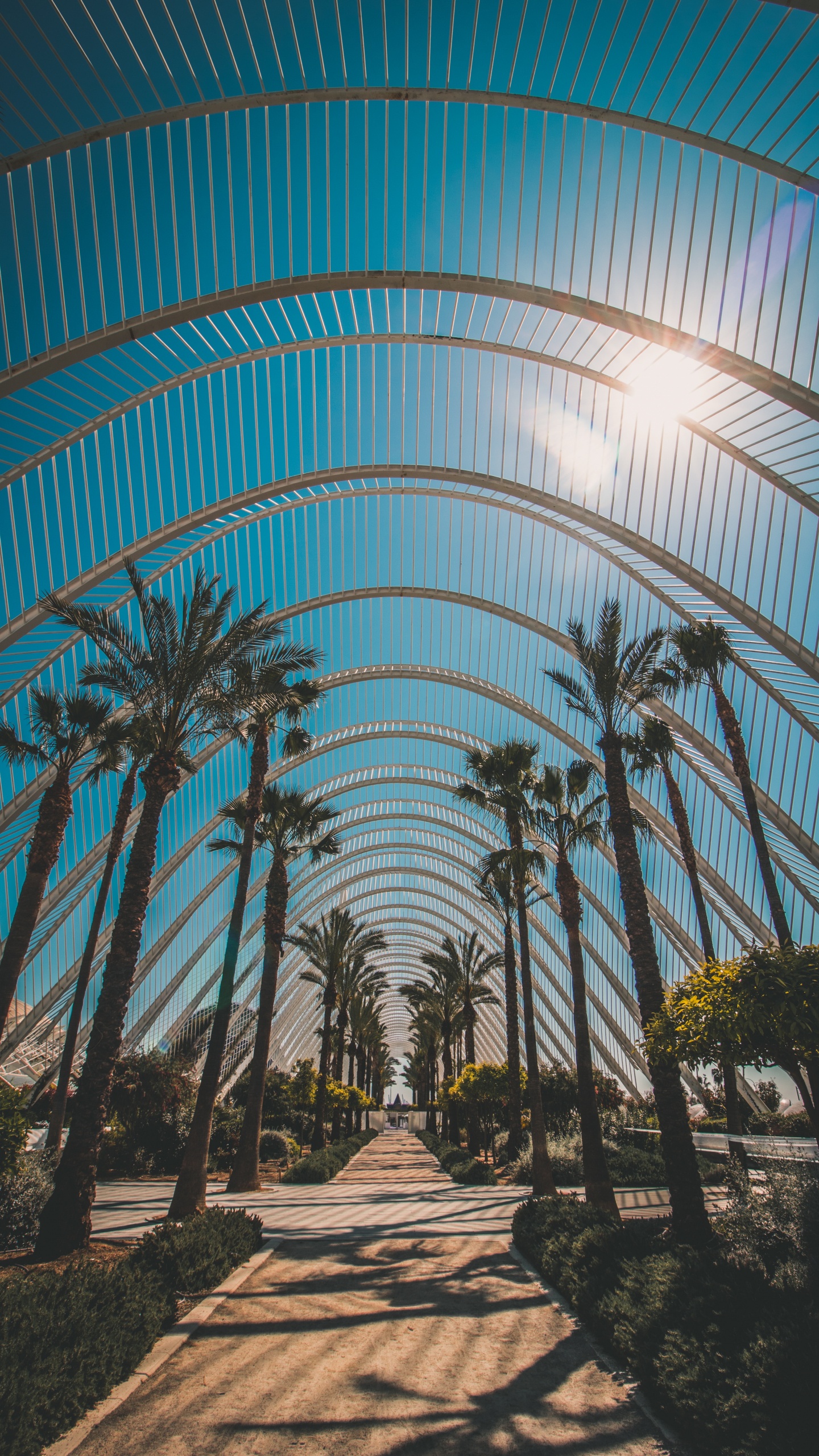 Architecture, Botanique, Plantes Ligneuses, Bâtiment, Jardin Majorelle. Wallpaper in 1440x2560 Resolution