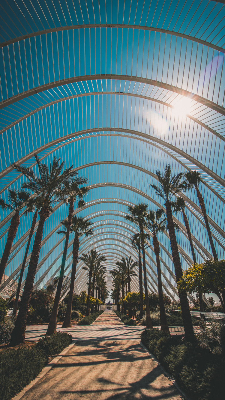 Architecture, Botanique, Plantes Ligneuses, Bâtiment, Jardin Majorelle. Wallpaper in 750x1334 Resolution