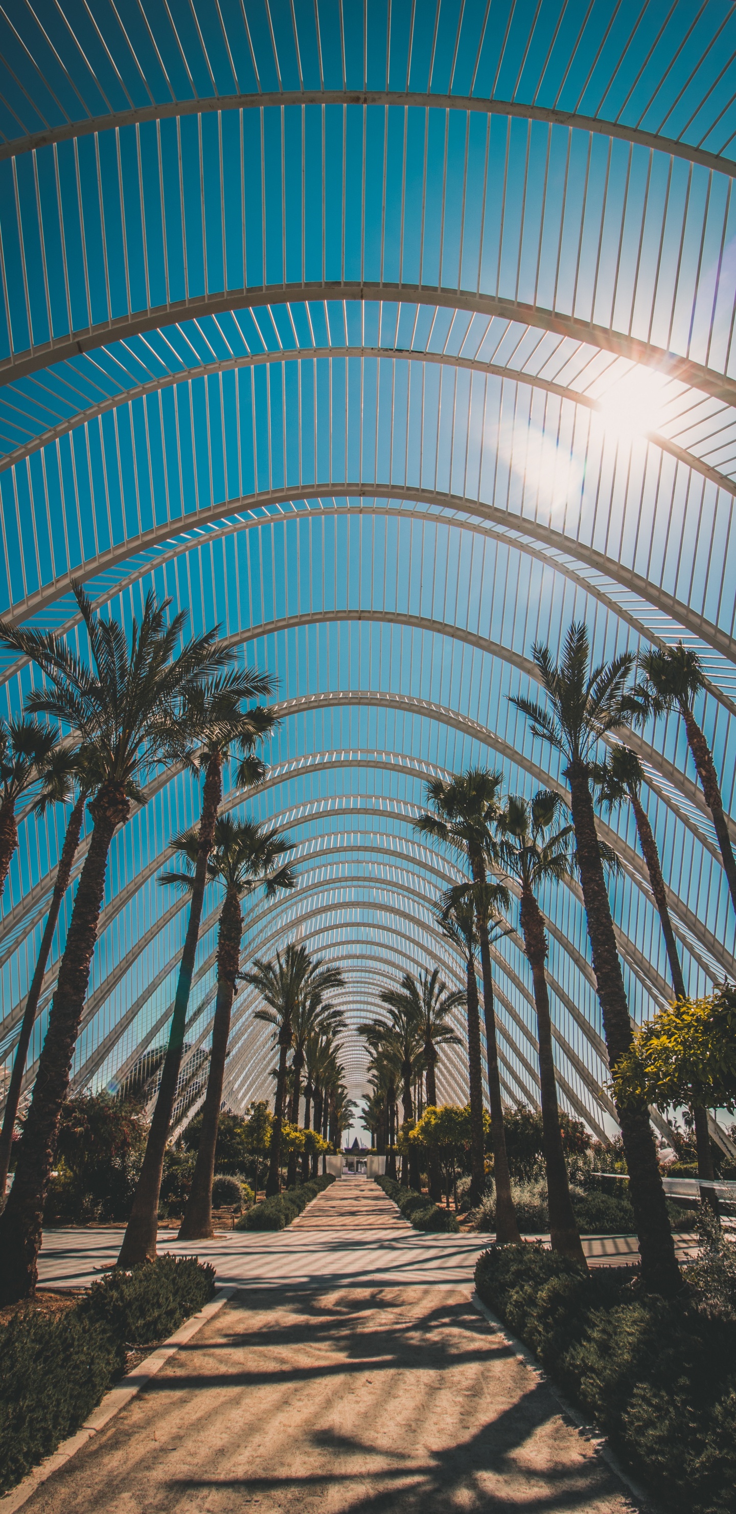 Arquitectura, la Botánica, Planta Leñosa, Edificio, Jardín Majorelle. Wallpaper in 1440x2960 Resolution
