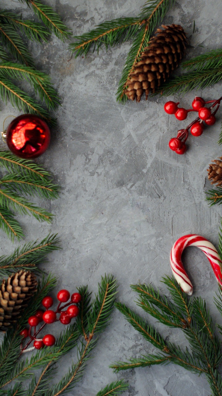 Jardin Tropical de Nong Nooch, Ornement de Noël, Green, Lumière, Botanique. Wallpaper in 720x1280 Resolution