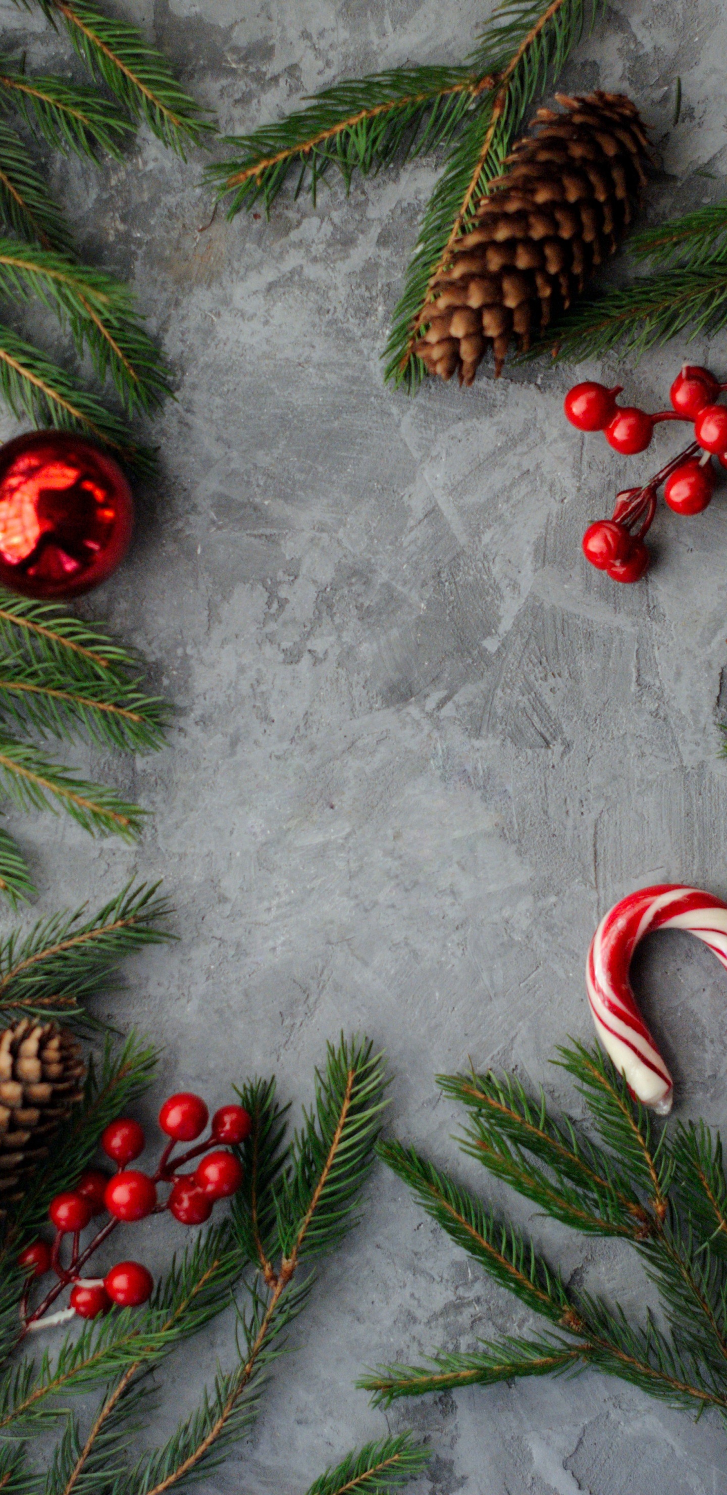 Nong Nooch Tropical Garden, Christmas, Christmas Ornament, Green, Light. Wallpaper in 1440x2960 Resolution