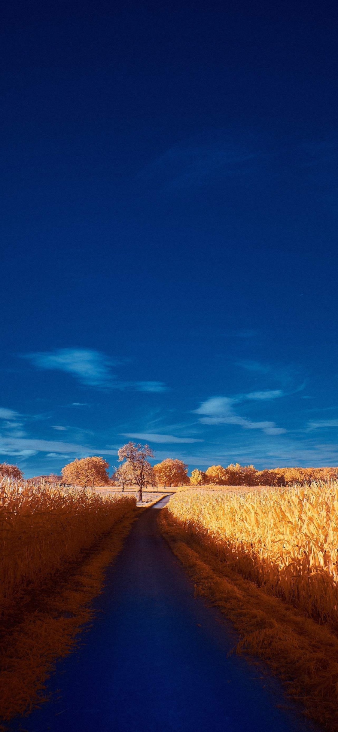 Cloud, Blau, Naturlandschaft, Baum, Ebene. Wallpaper in 1125x2436 Resolution