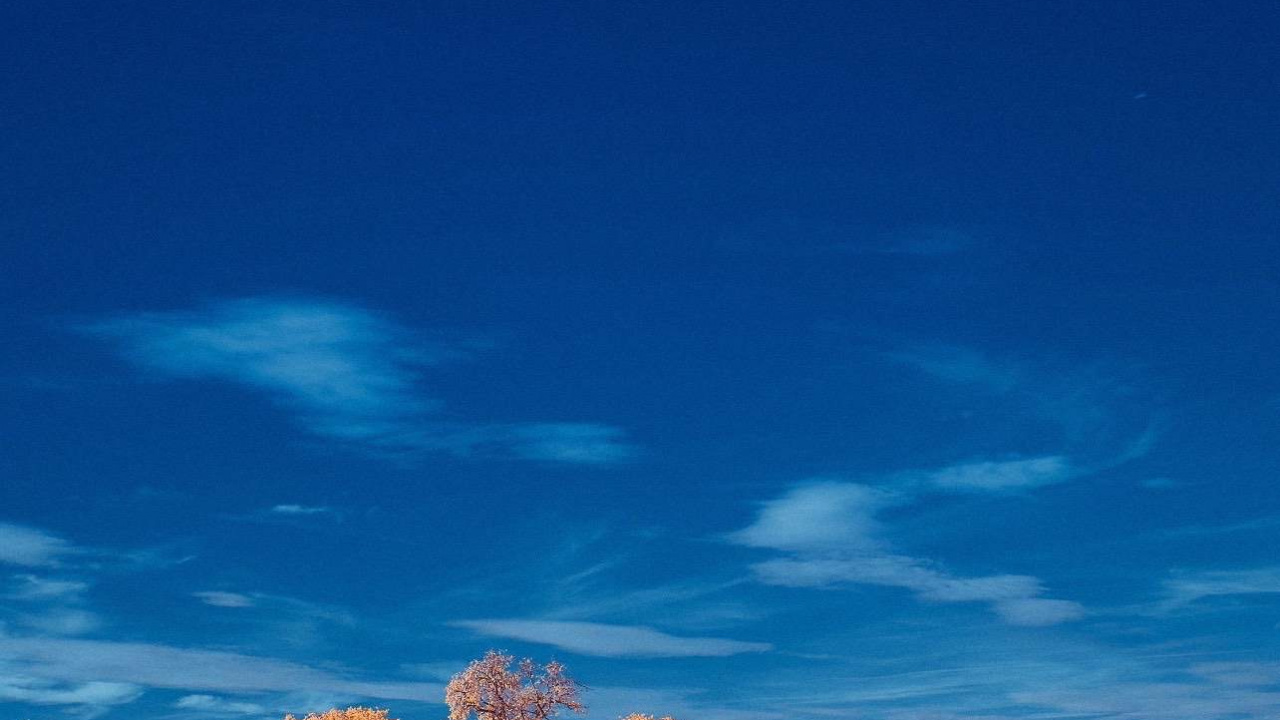 Cloud, Plant, Blue, Natural Landscape, Tree. Wallpaper in 1280x720 Resolution