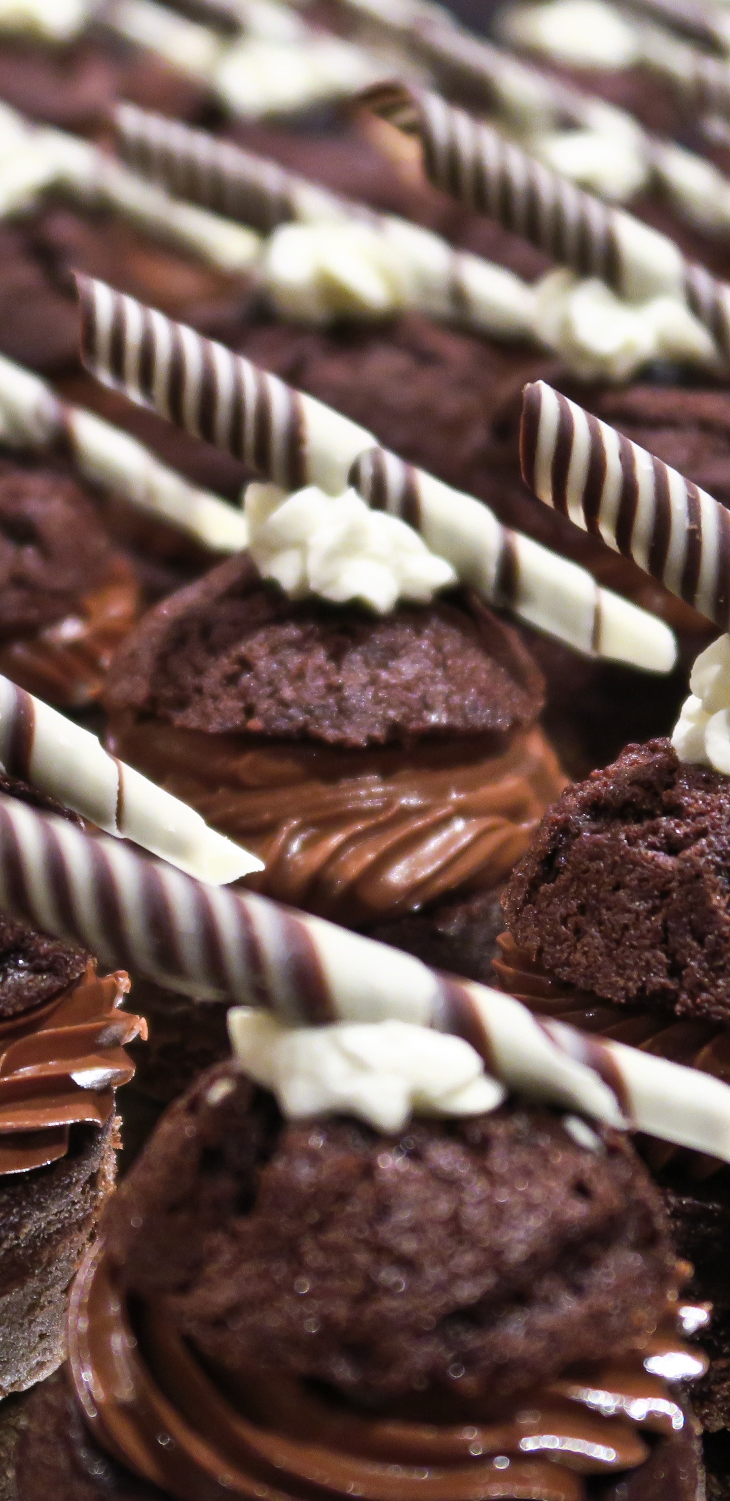 Chocolate Cupcakes on White Tray. Wallpaper in 1440x2960 Resolution