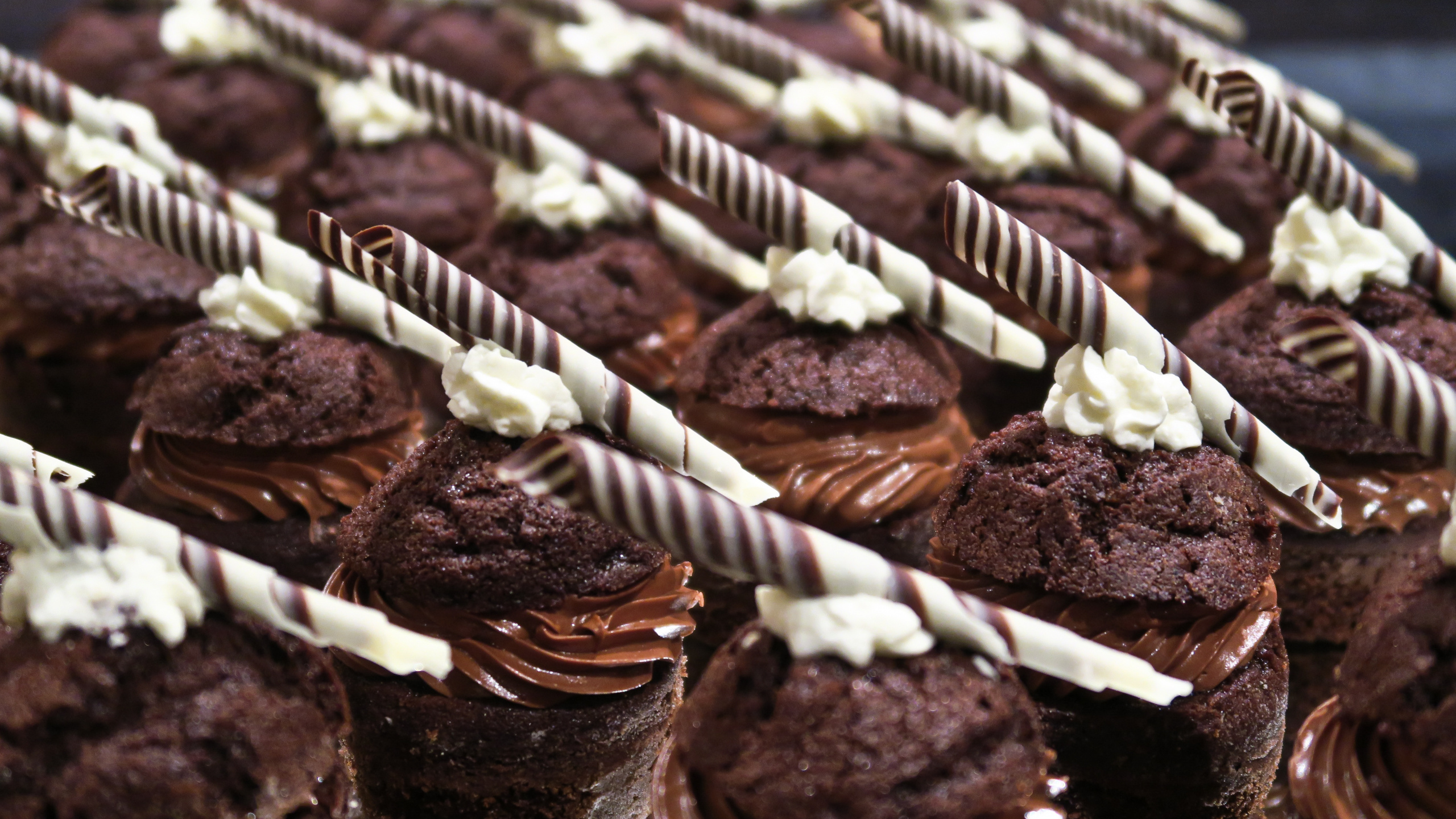 Schokoladen-Cupcakes Auf Weißem Tablett. Wallpaper in 2560x1440 Resolution