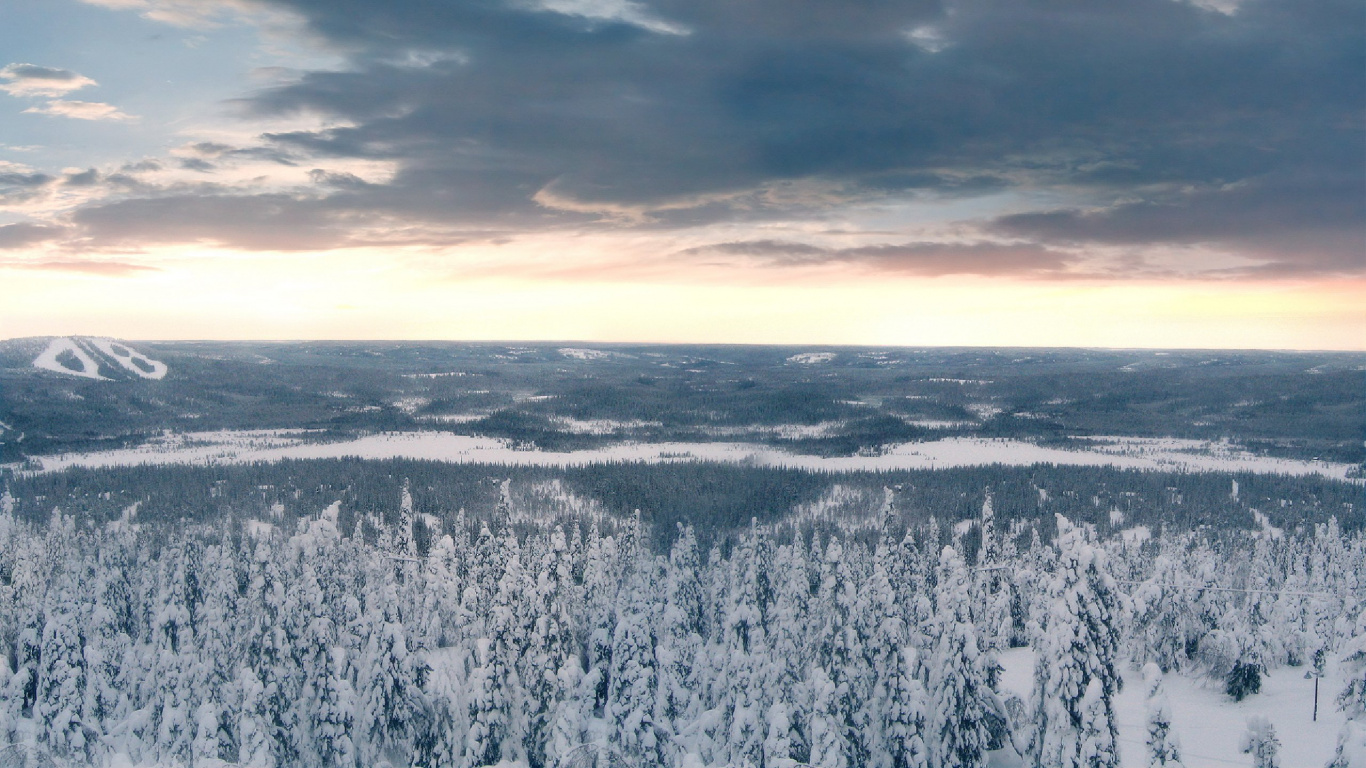 Arbres Couverts de Neige Sous Ciel Nuageux Pendant la Journée. Wallpaper in 1366x768 Resolution