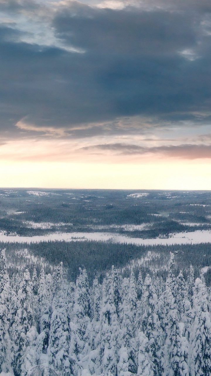 Snow Covered Trees Under Cloudy Sky During Daytime. Wallpaper in 720x1280 Resolution