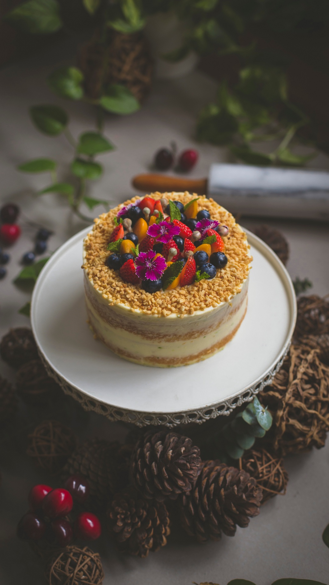 White and Brown Cake on White Ceramic Plate. Wallpaper in 1080x1920 Resolution