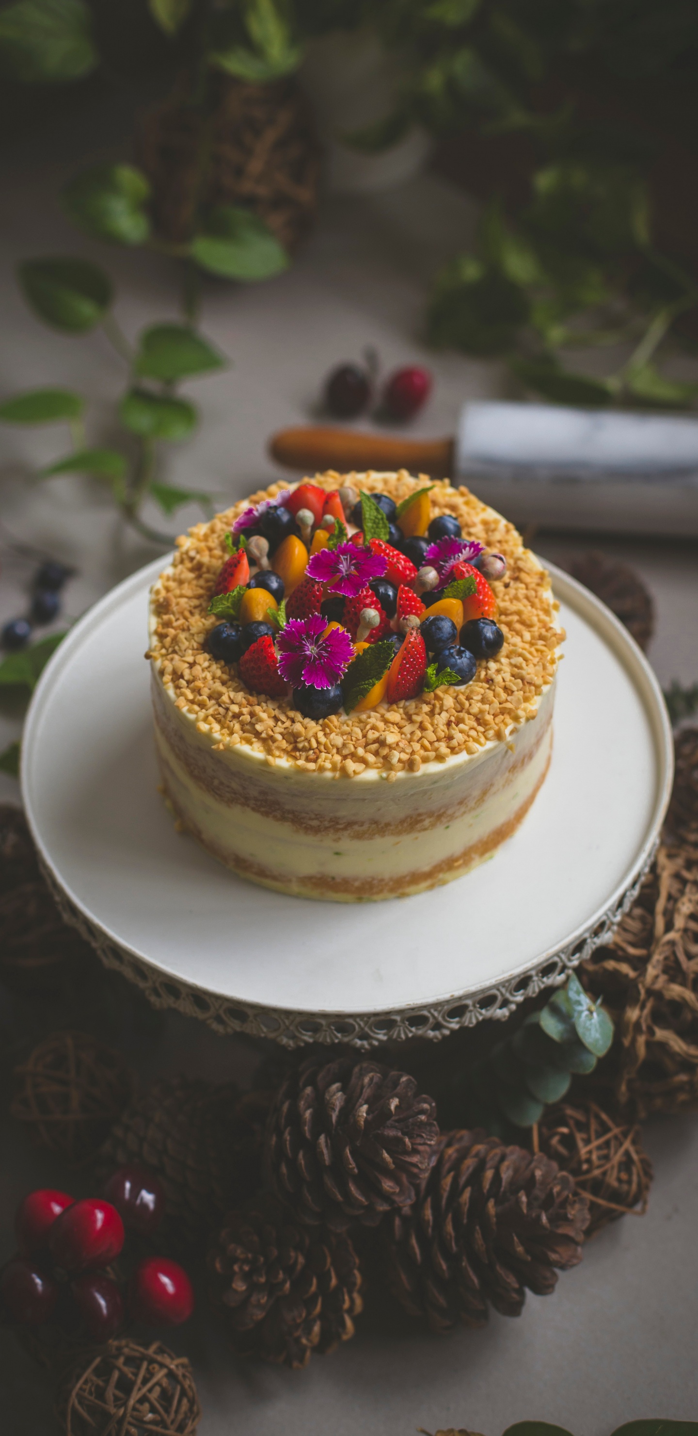 Weißer Und Brauner Kuchen Auf Weißem Keramikteller. Wallpaper in 1440x2960 Resolution