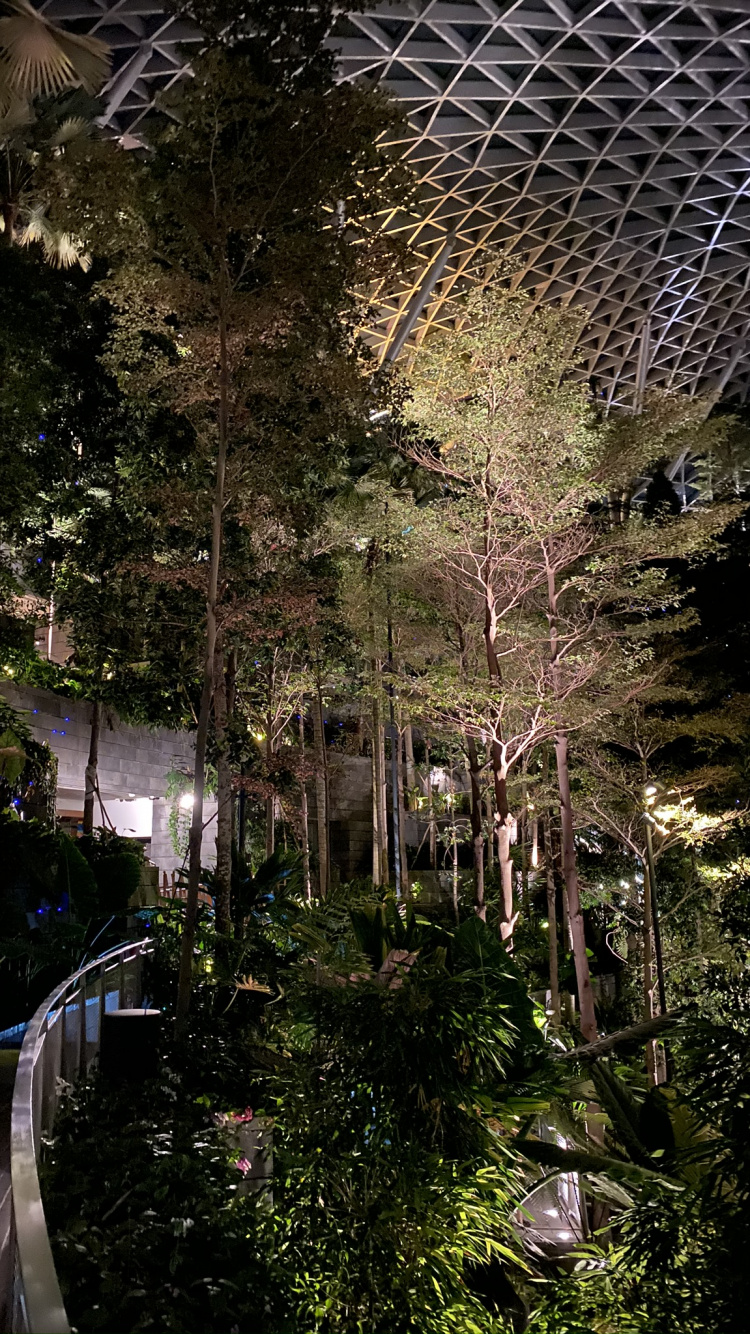 Naturaleza, la Iluminación Del Paisaje, Jardin, Pasarela, Malla. Wallpaper in 750x1334 Resolution