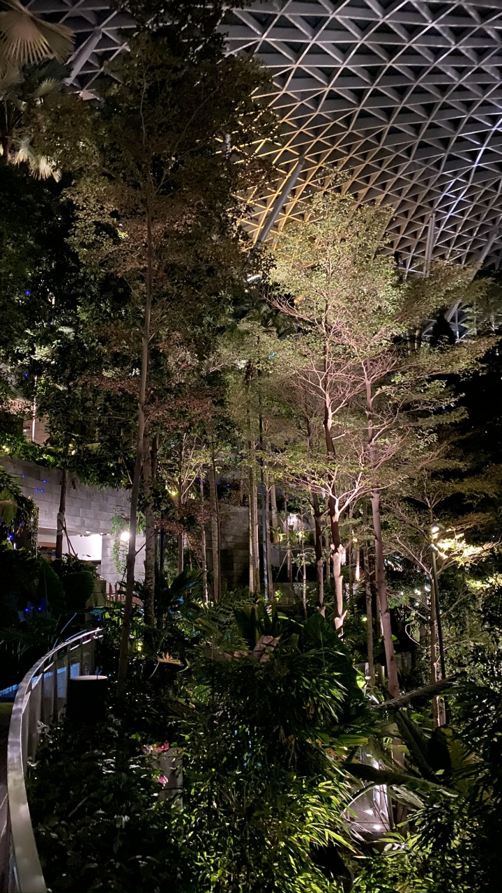 Nature, Landscape Lighting, Garden, Walkway, Mesh. Wallpaper in 720x1280 Resolution